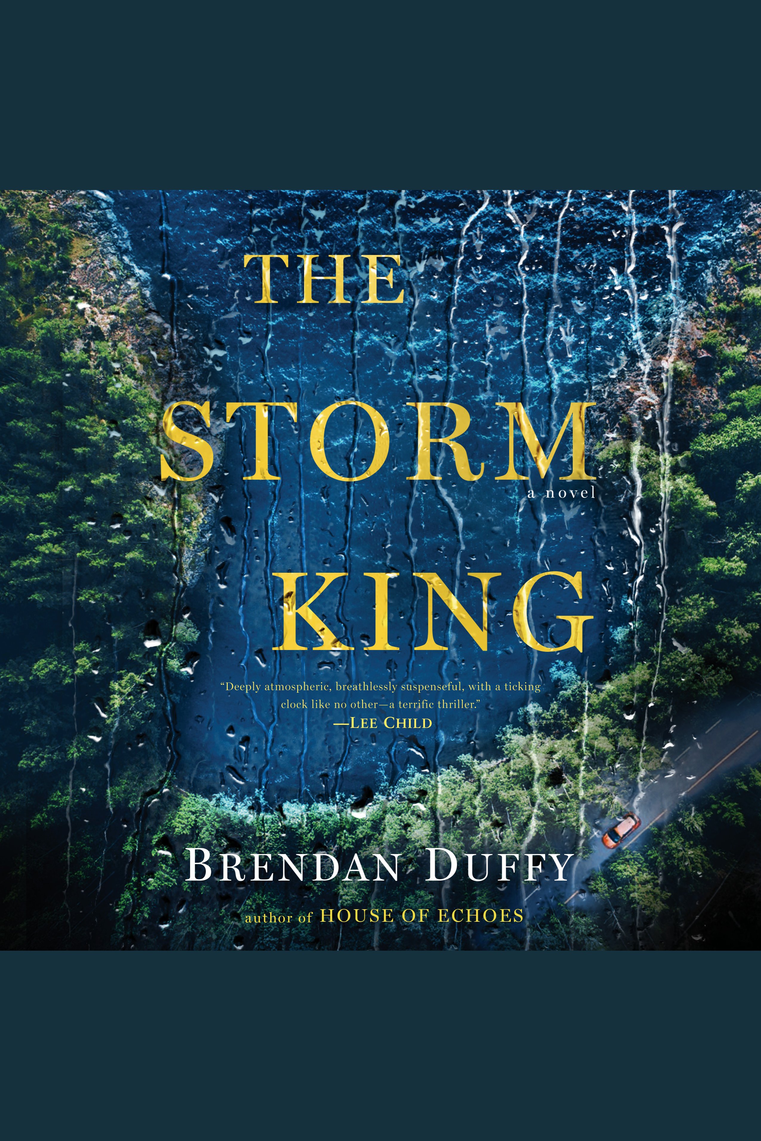Umschlagbild für The Storm King [electronic resource] :