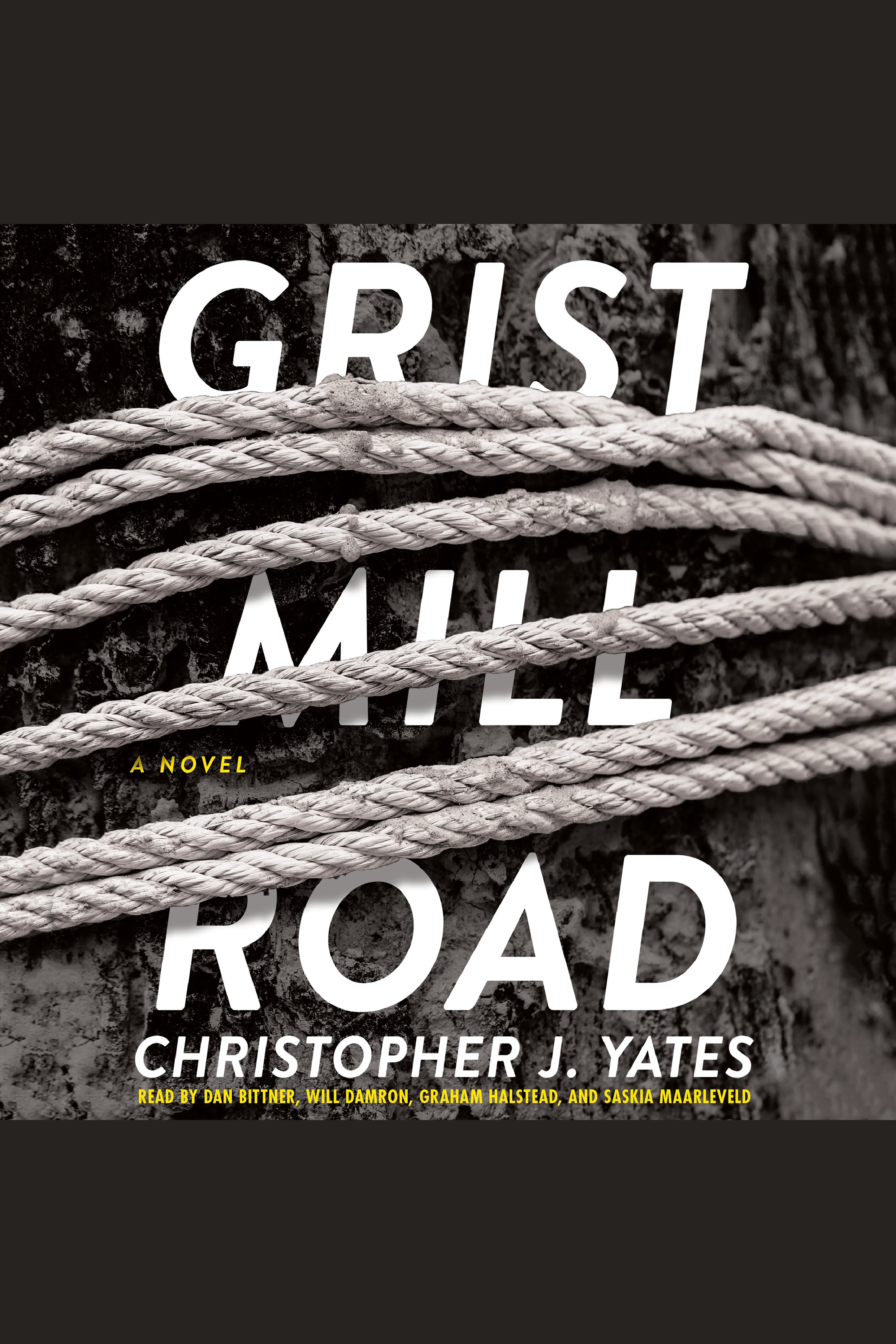 Cover image for Grist Mill Road [electronic resource] : A Novel