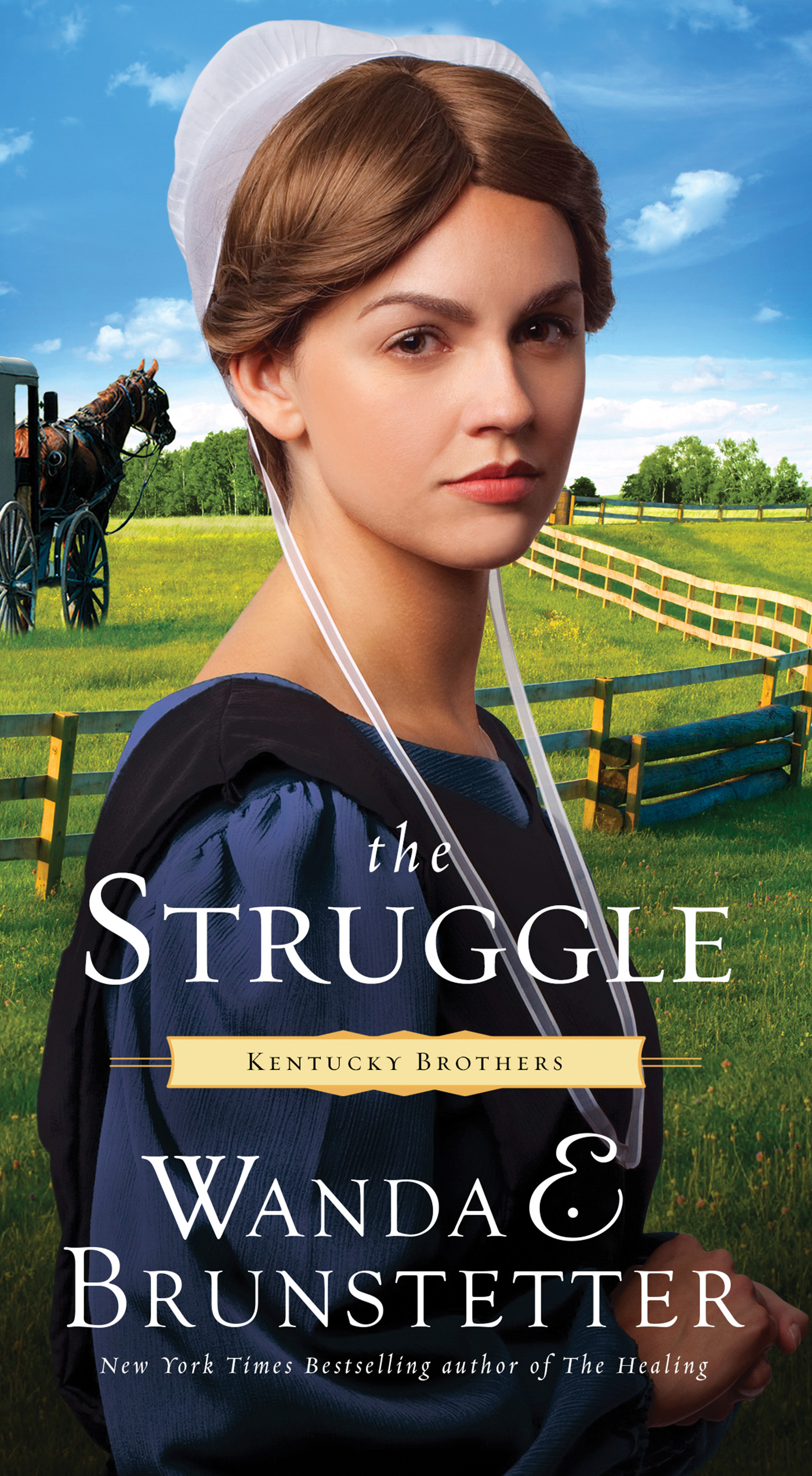 Cover image for The Struggle [electronic resource] :