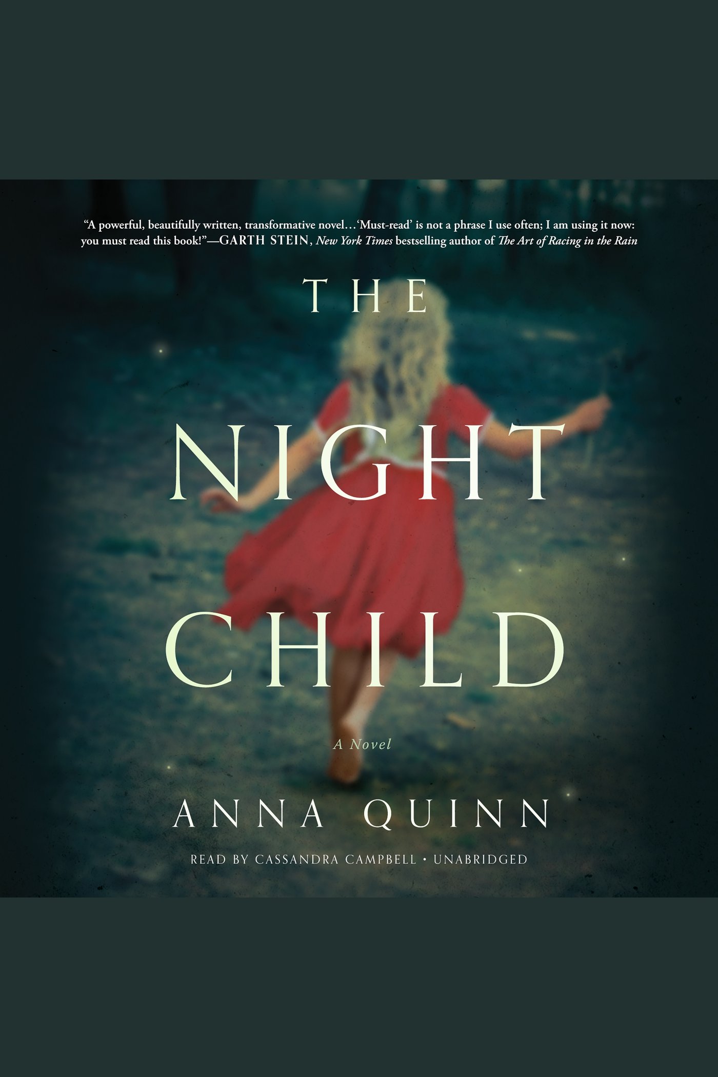 Umschlagbild für The Night Child [electronic resource] :
