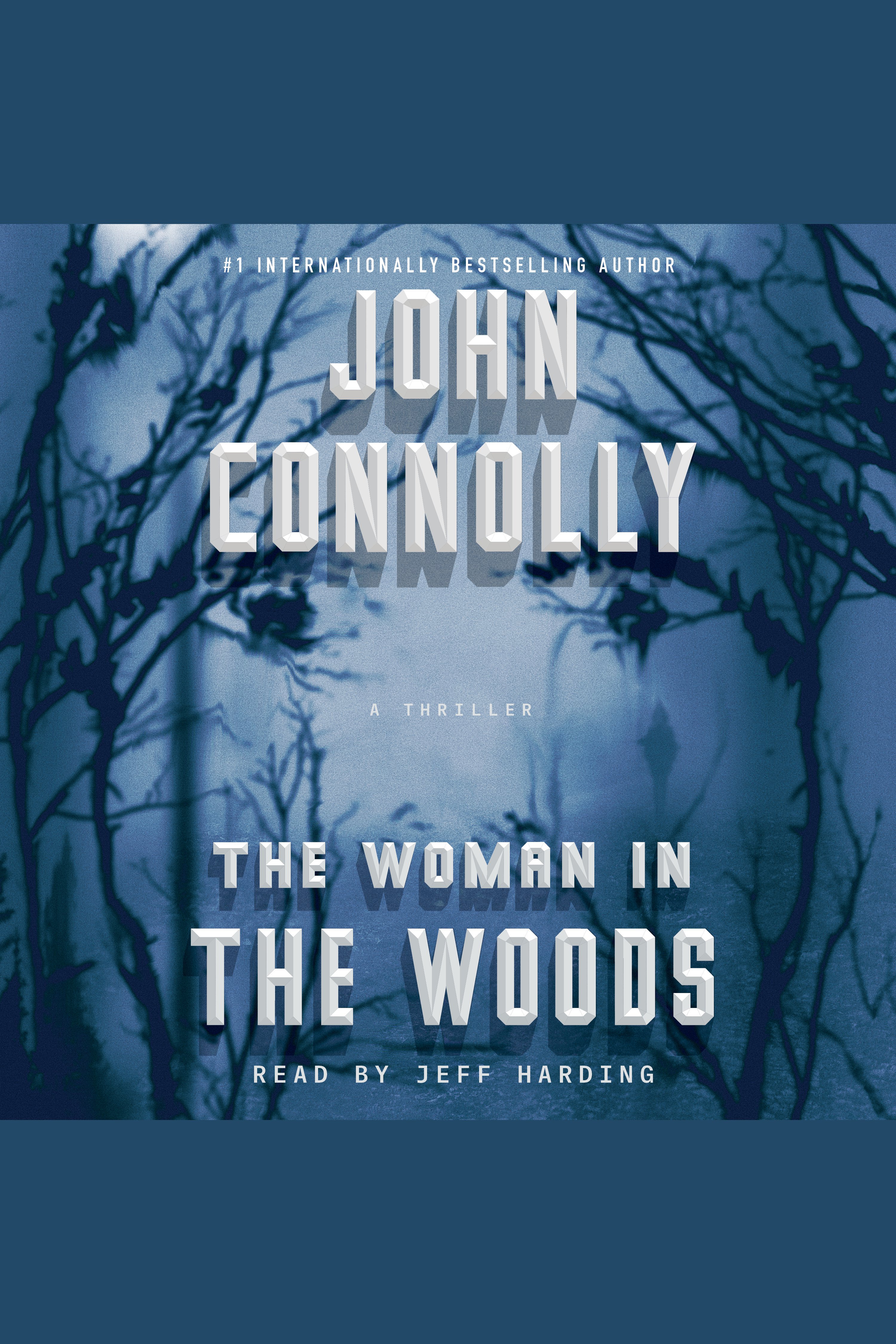 Umschlagbild für The Woman in the Woods [electronic resource] :