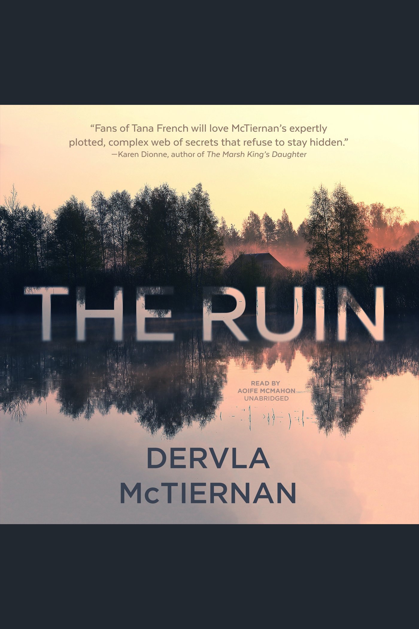 Cover image for The Ruin [electronic resource] :
