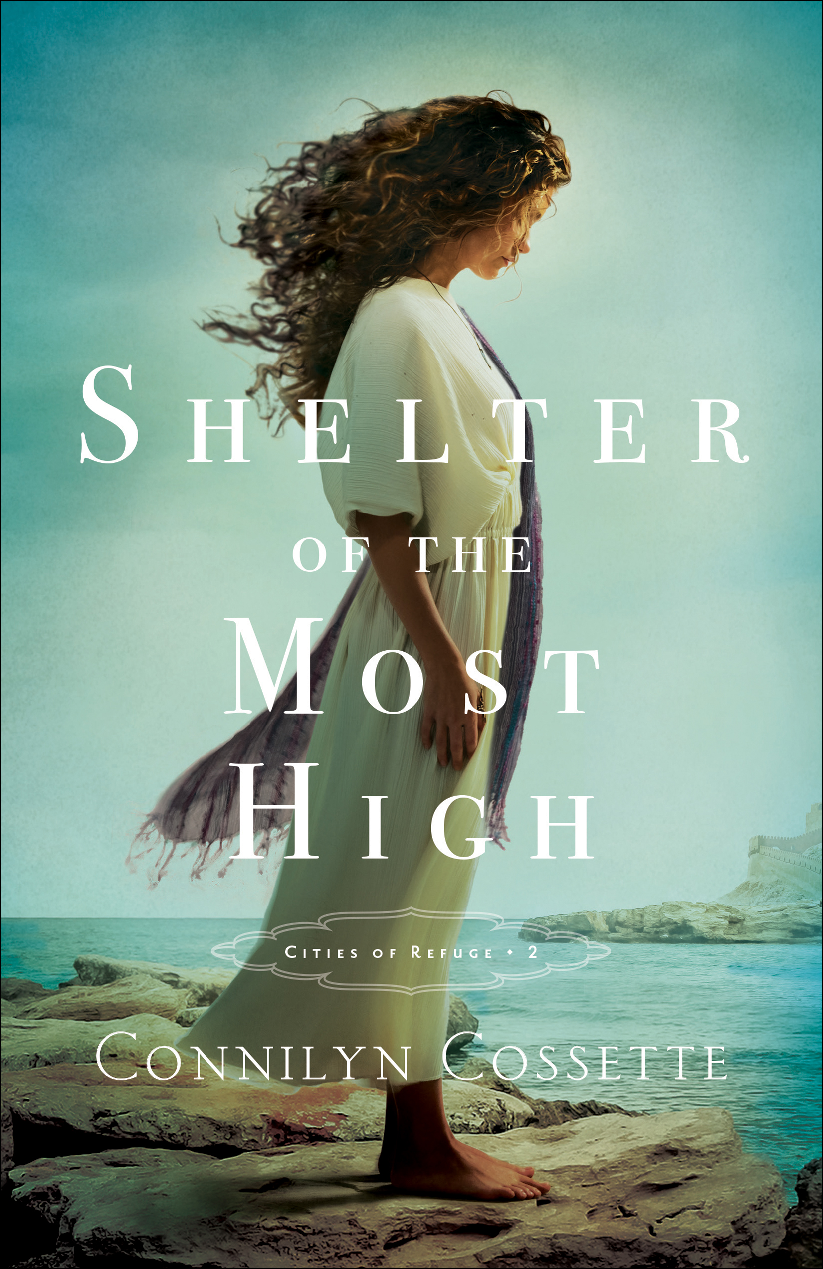 Cover image for Shelter of the Most High (Cities of Refuge Book #2) [electronic resource] :