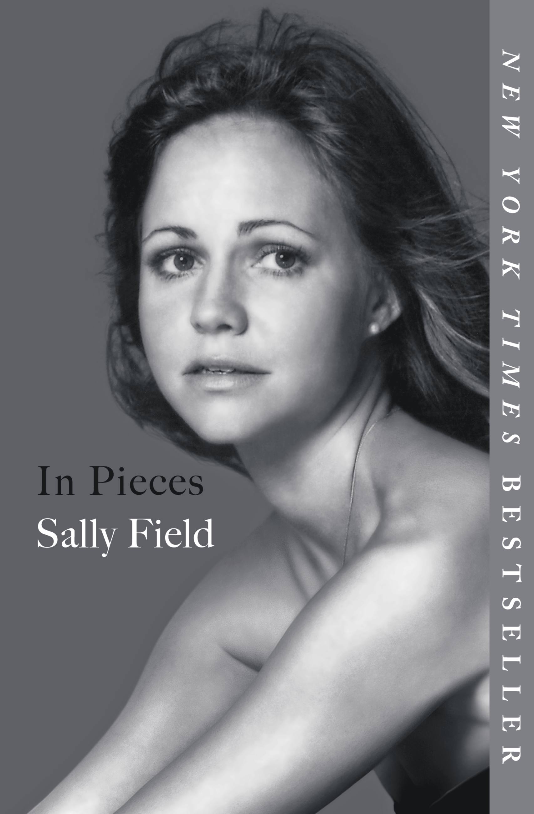 Cover image for In Pieces [electronic resource] :