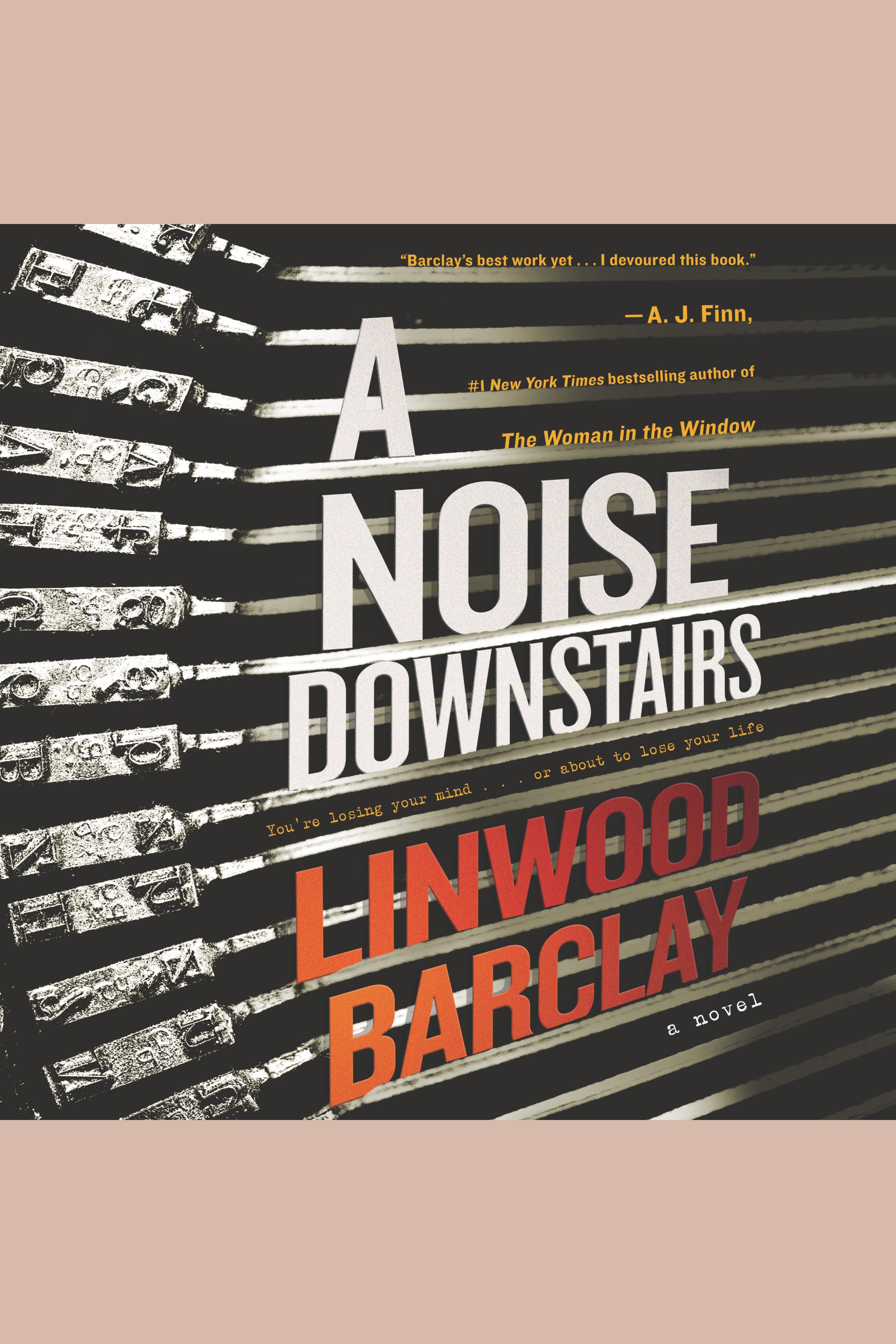 Umschlagbild für Noise Downstairs, A [electronic resource] : A Novel