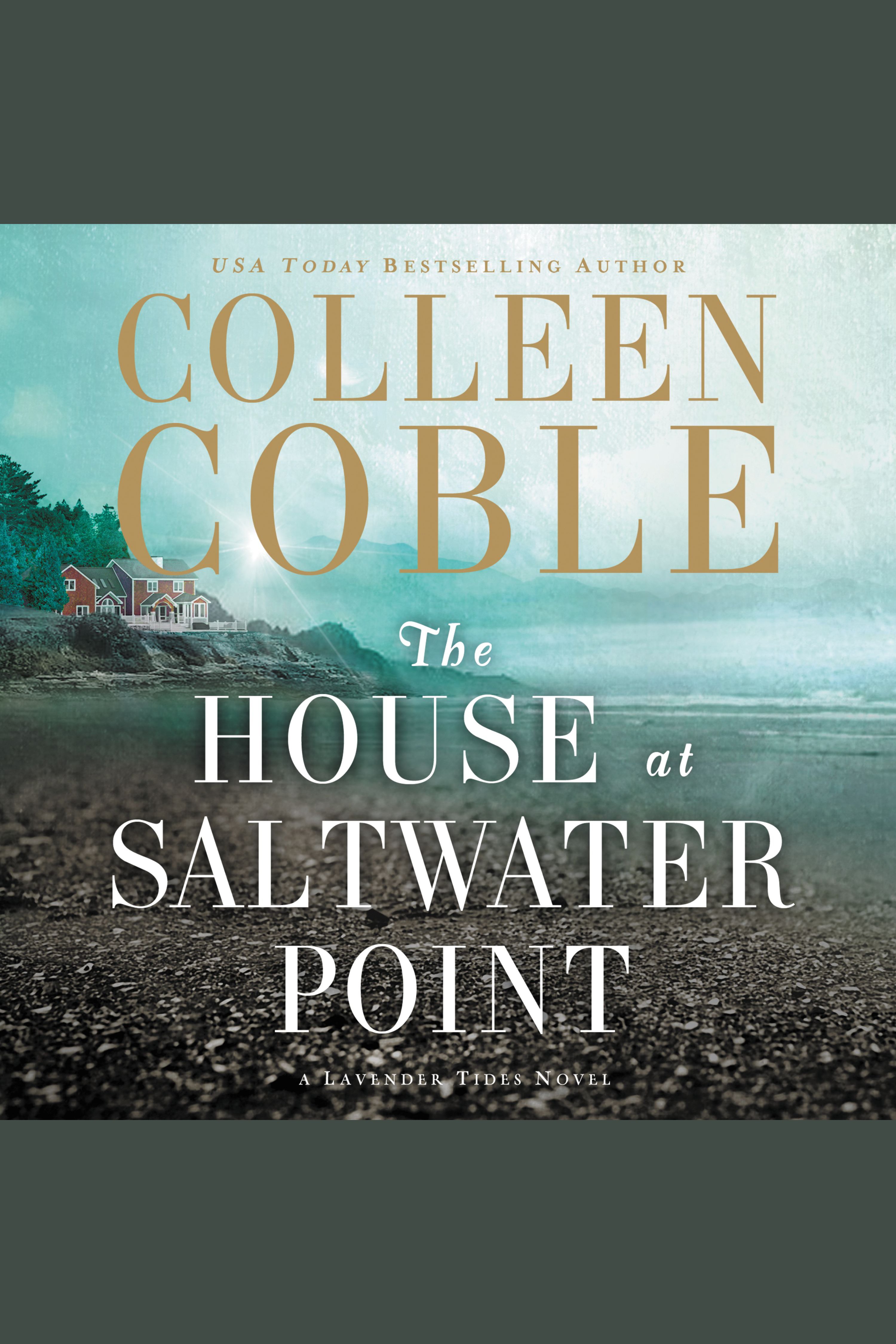Cover image for The House at Saltwater Point [electronic resource] : A Lavender Tides Novel