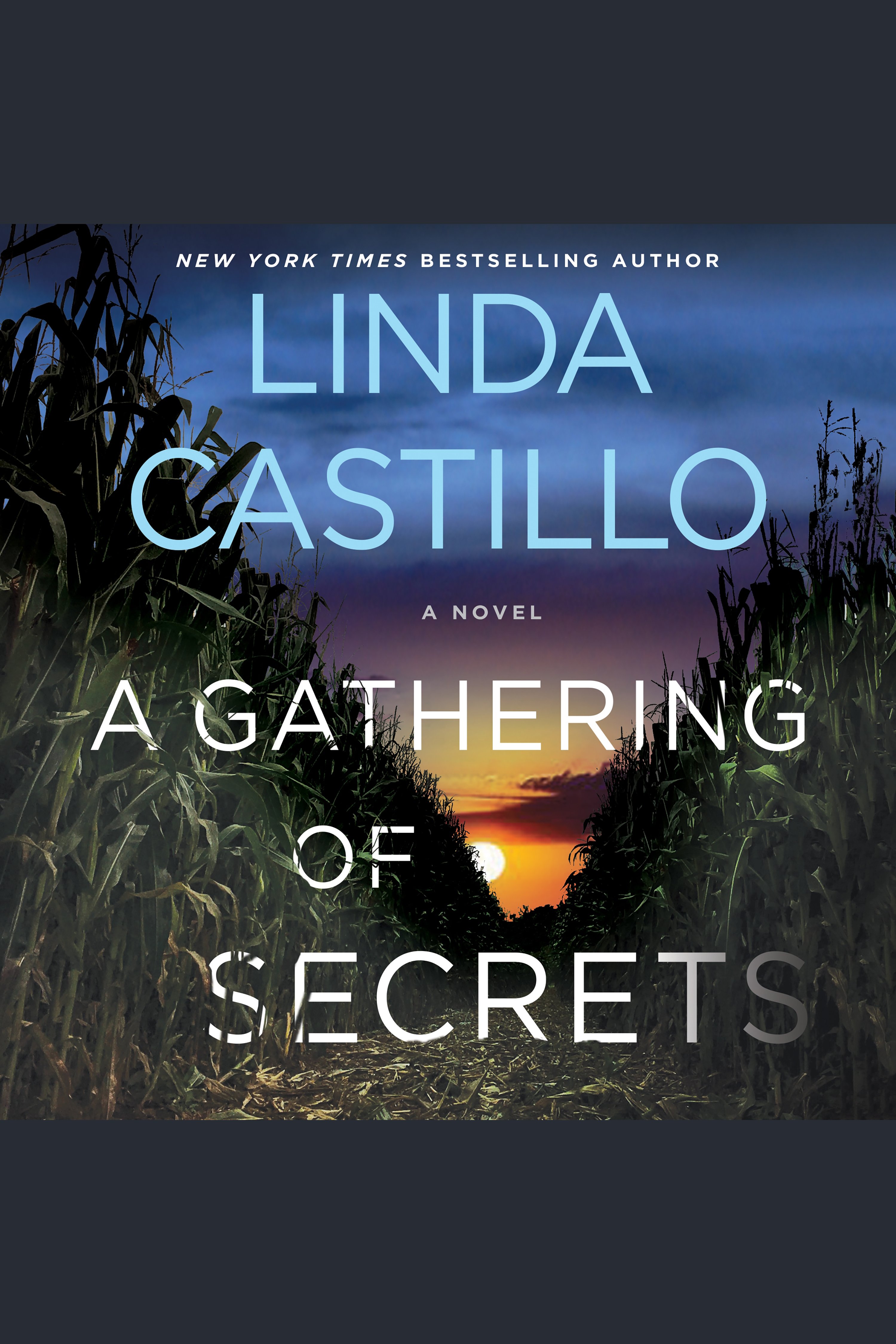 Cover image for A Gathering of Secrets [electronic resource] : A Novel