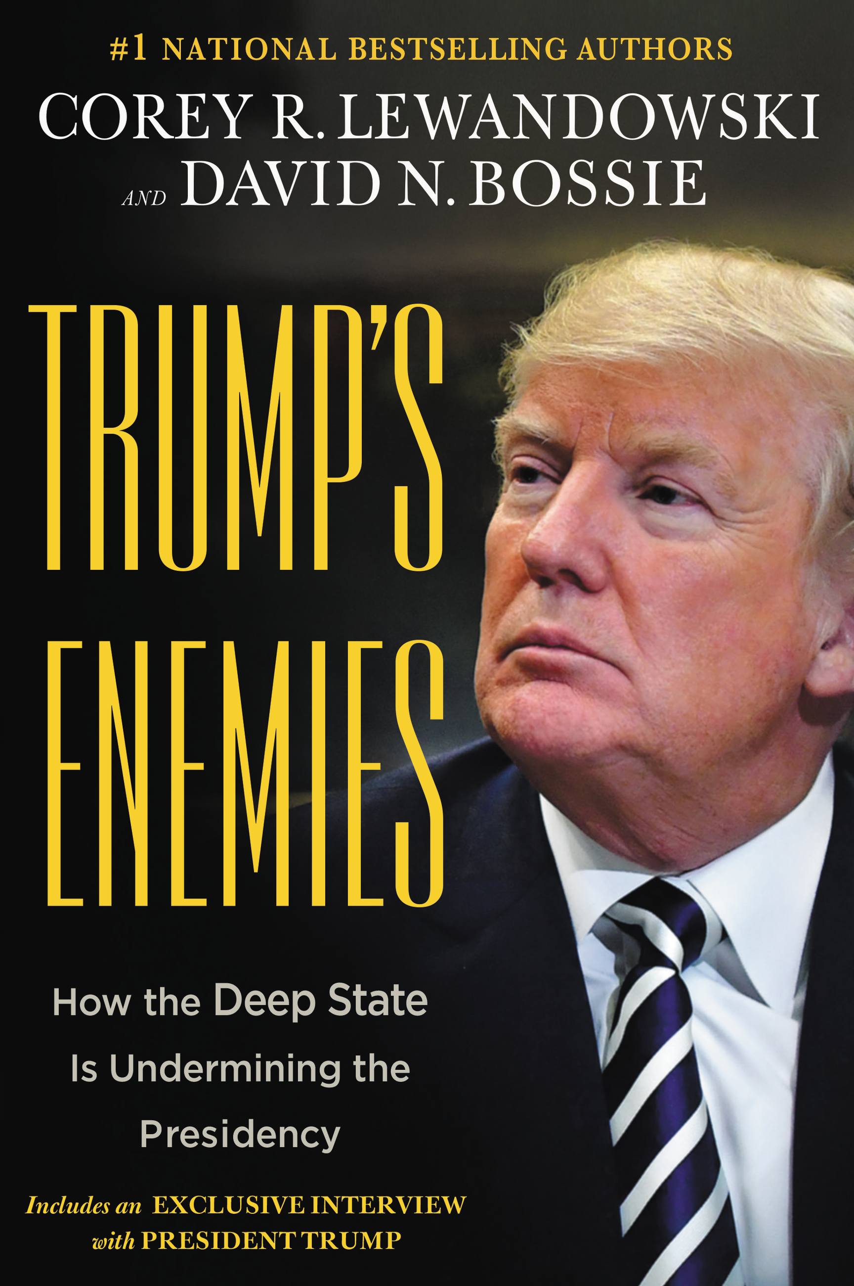 Image de couverture de Trump's Enemies [electronic resource] : How the Deep State Is Undermining the Presidency