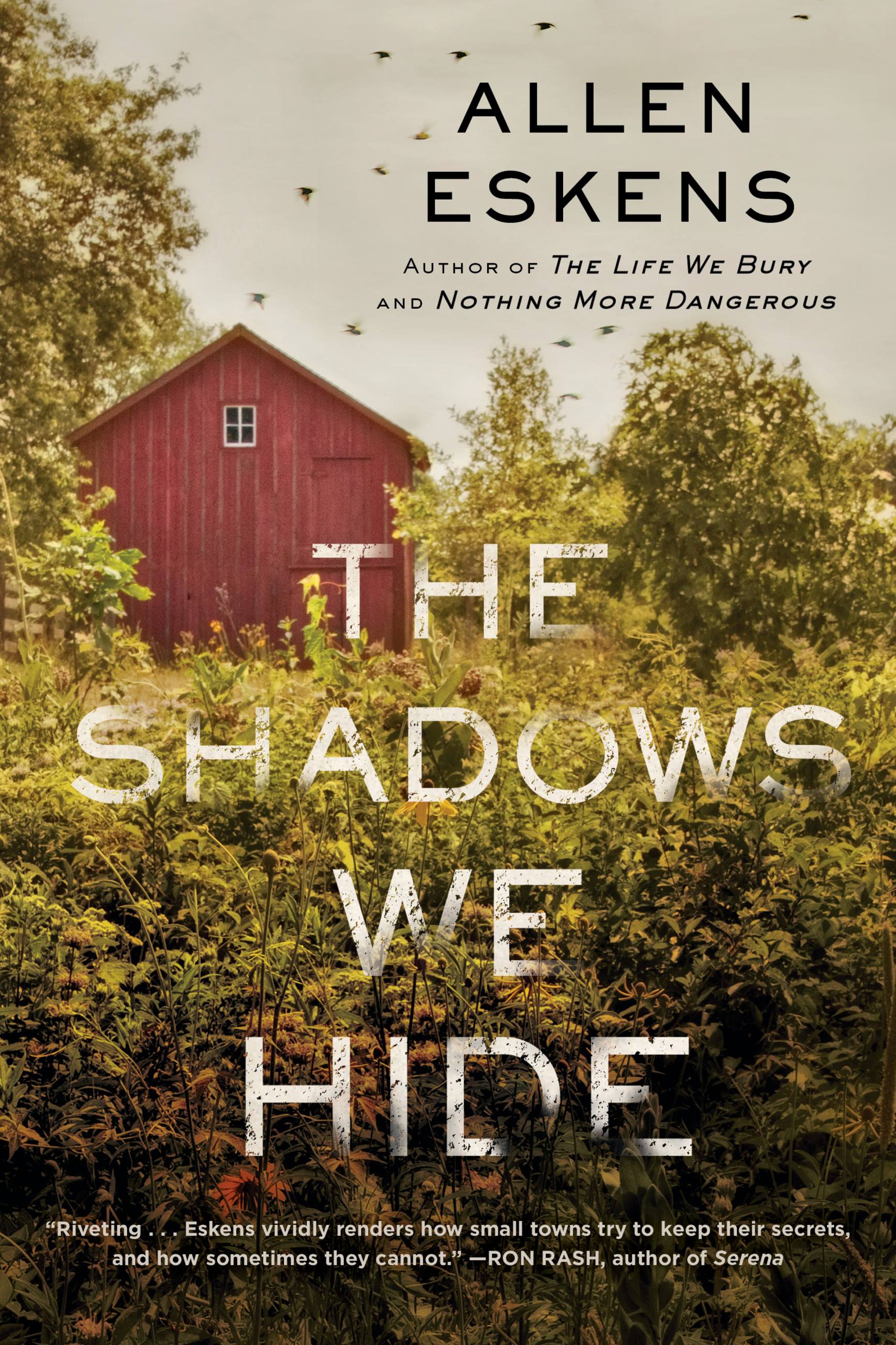 Cover image for The Shadows We Hide [electronic resource] :