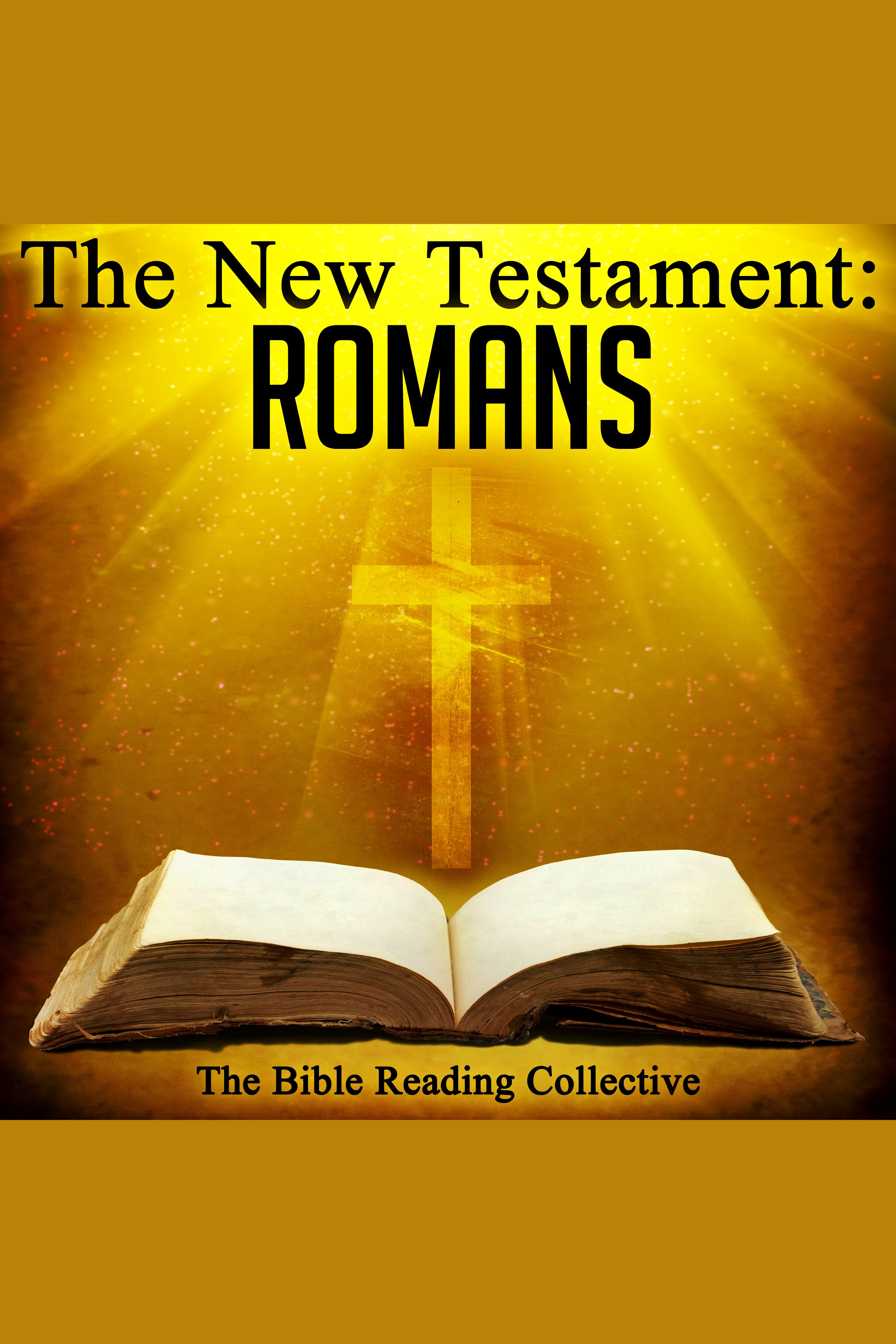 The New Testament: Romans cover image