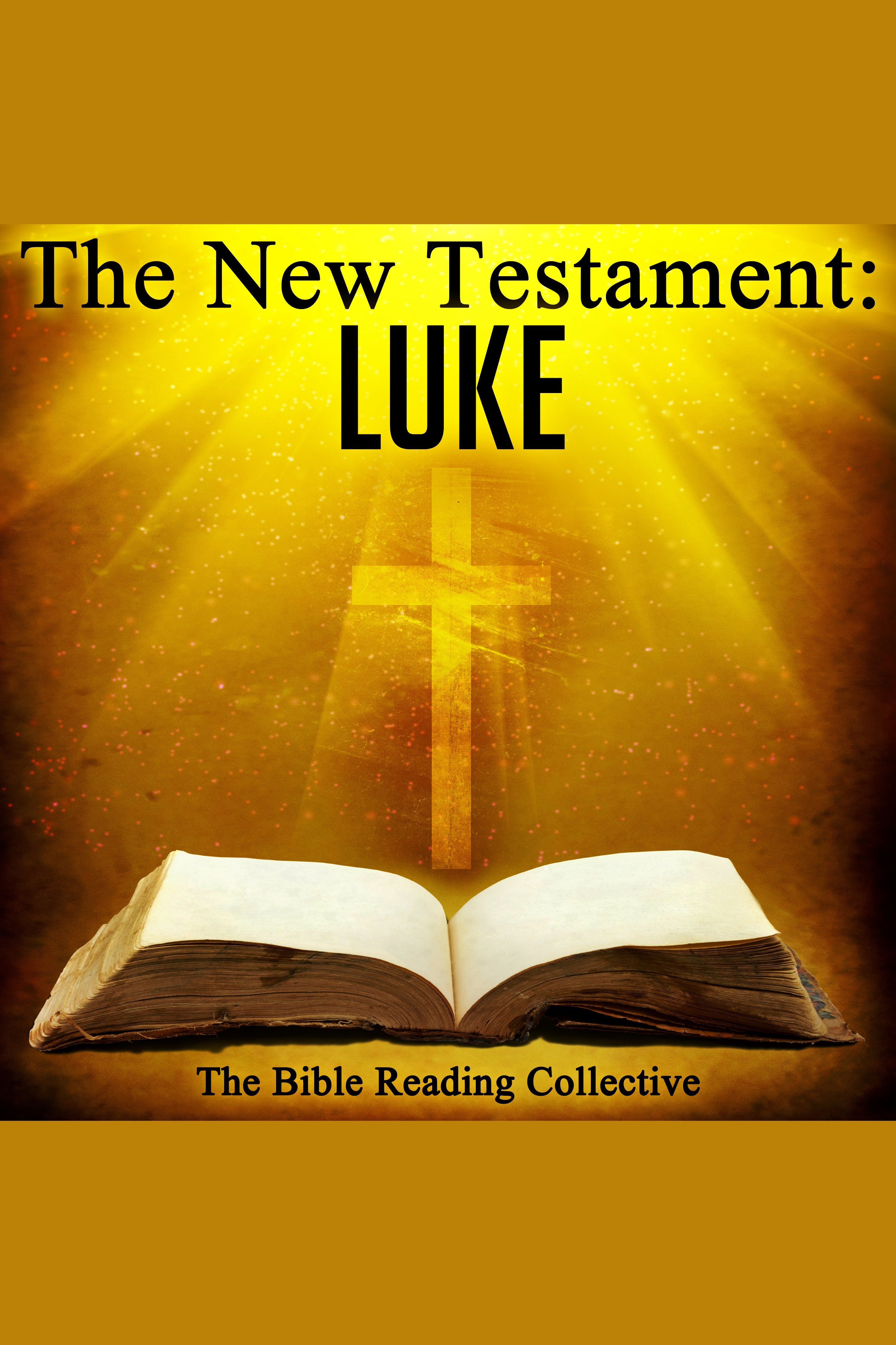 The New Testament: Luke cover image