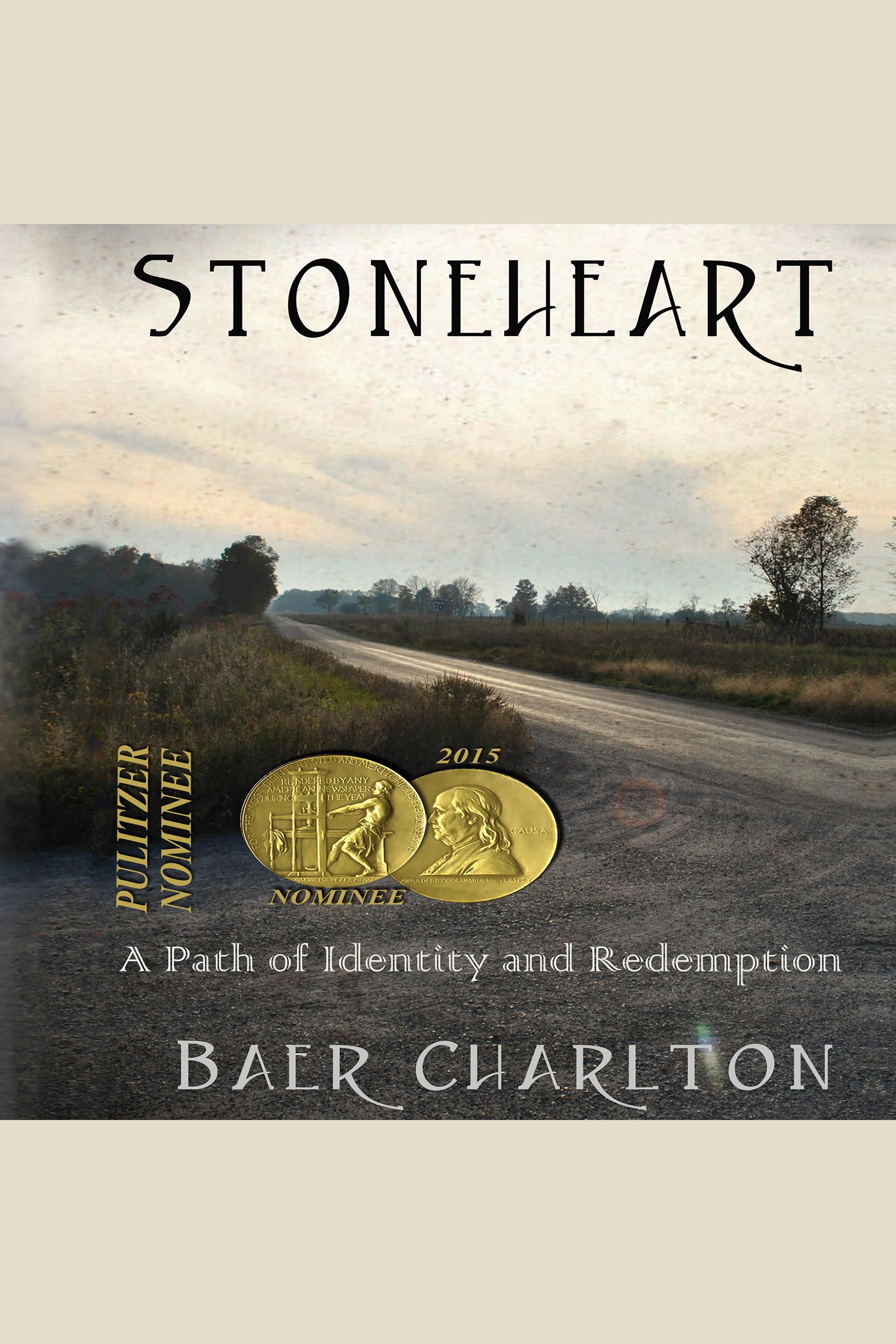 Stoneheart A Path of Identity and Redemption cover image