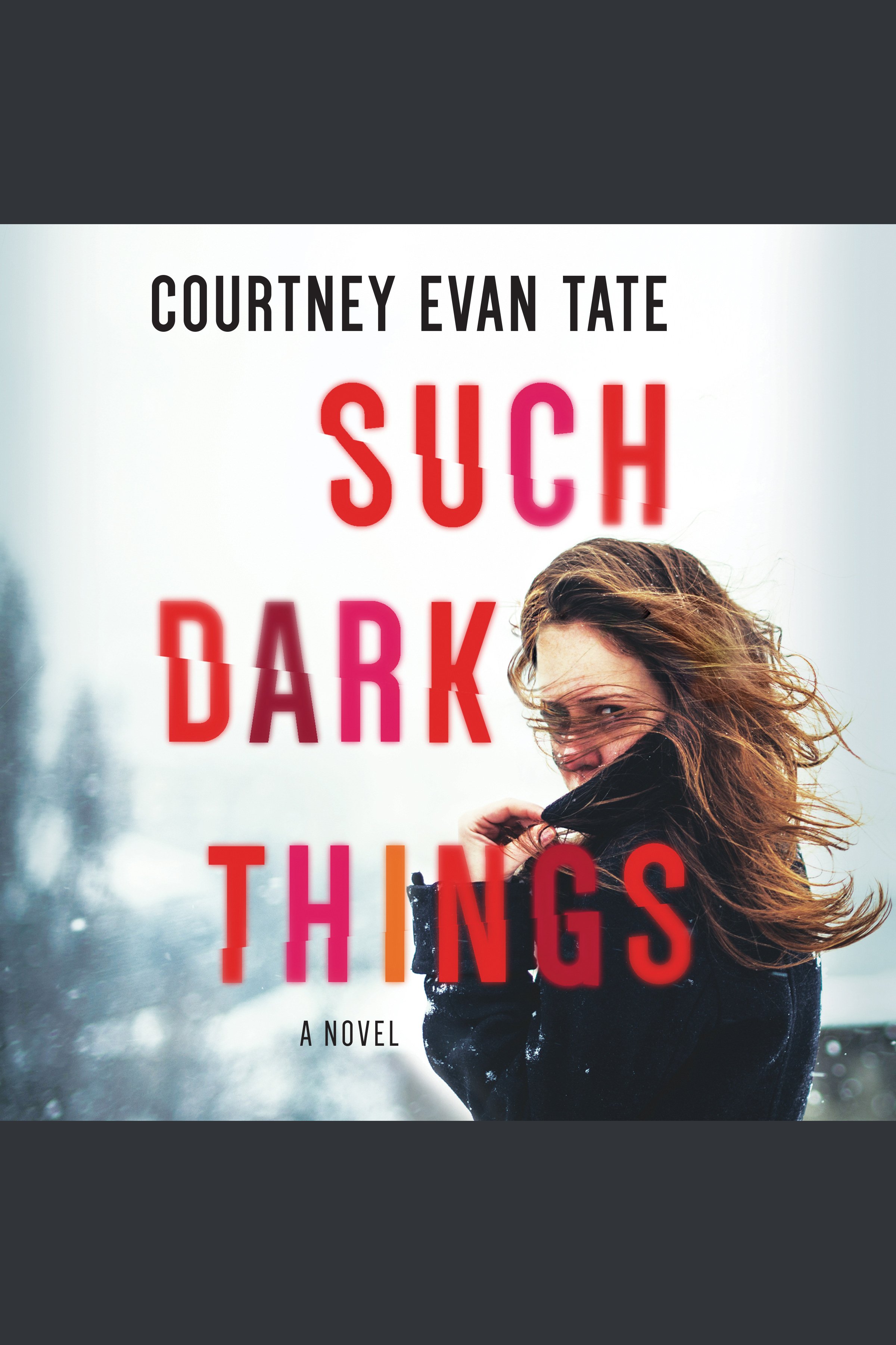 Such Dark Things cover image