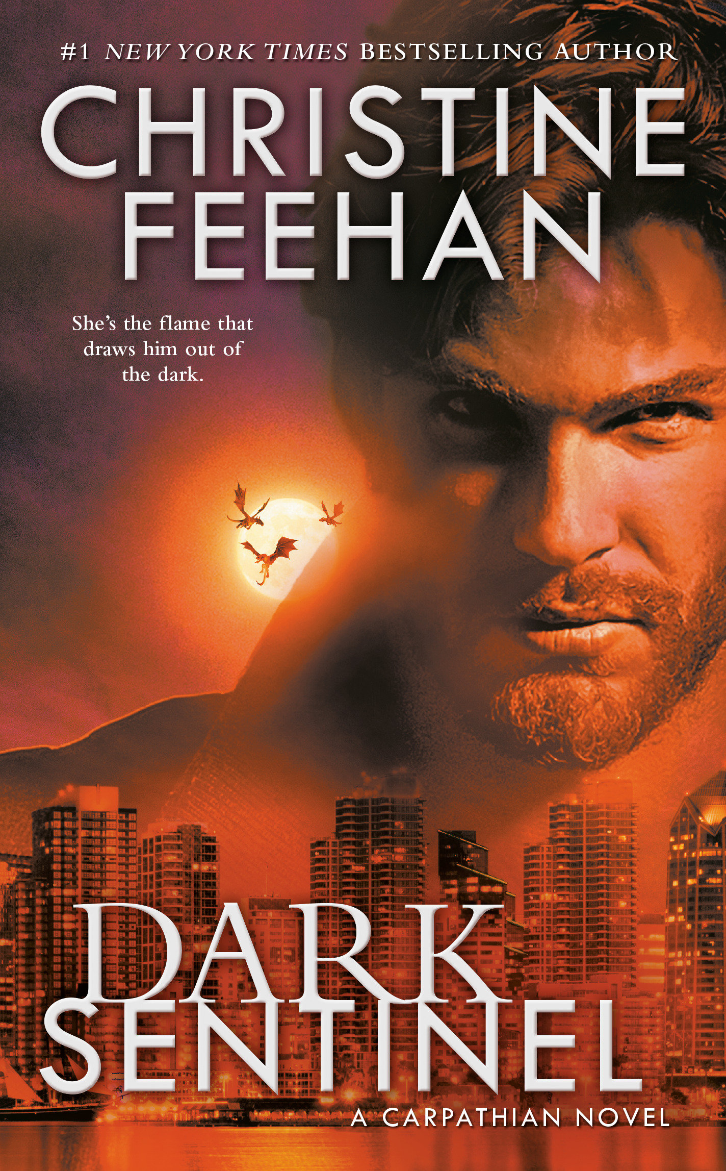 Cover image for Dark Sentinel [electronic resource] :
