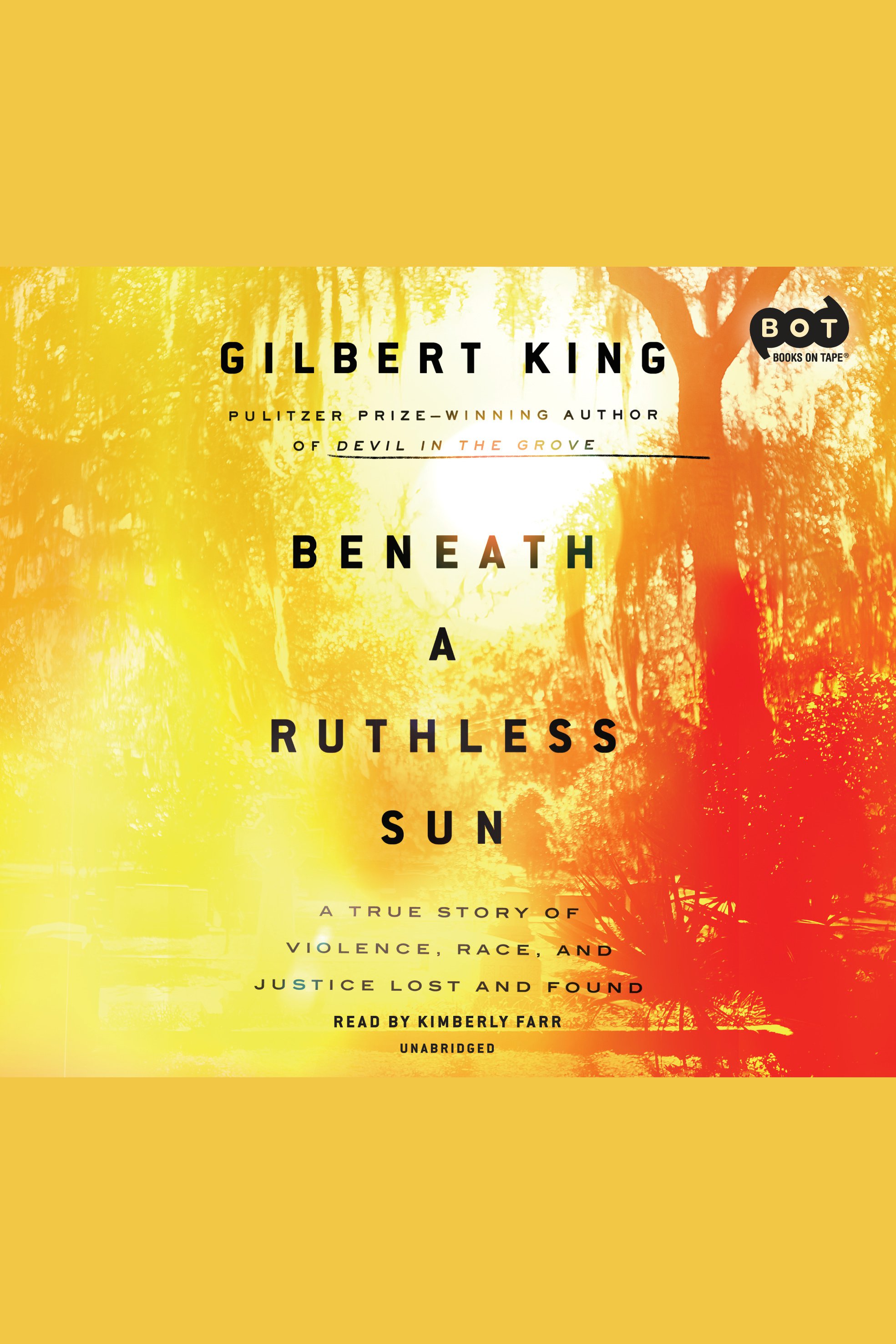 Imagen de portada para Beneath a Ruthless Sun [electronic resource] : A True Story of Violence, Race, and Justice Lost and Found