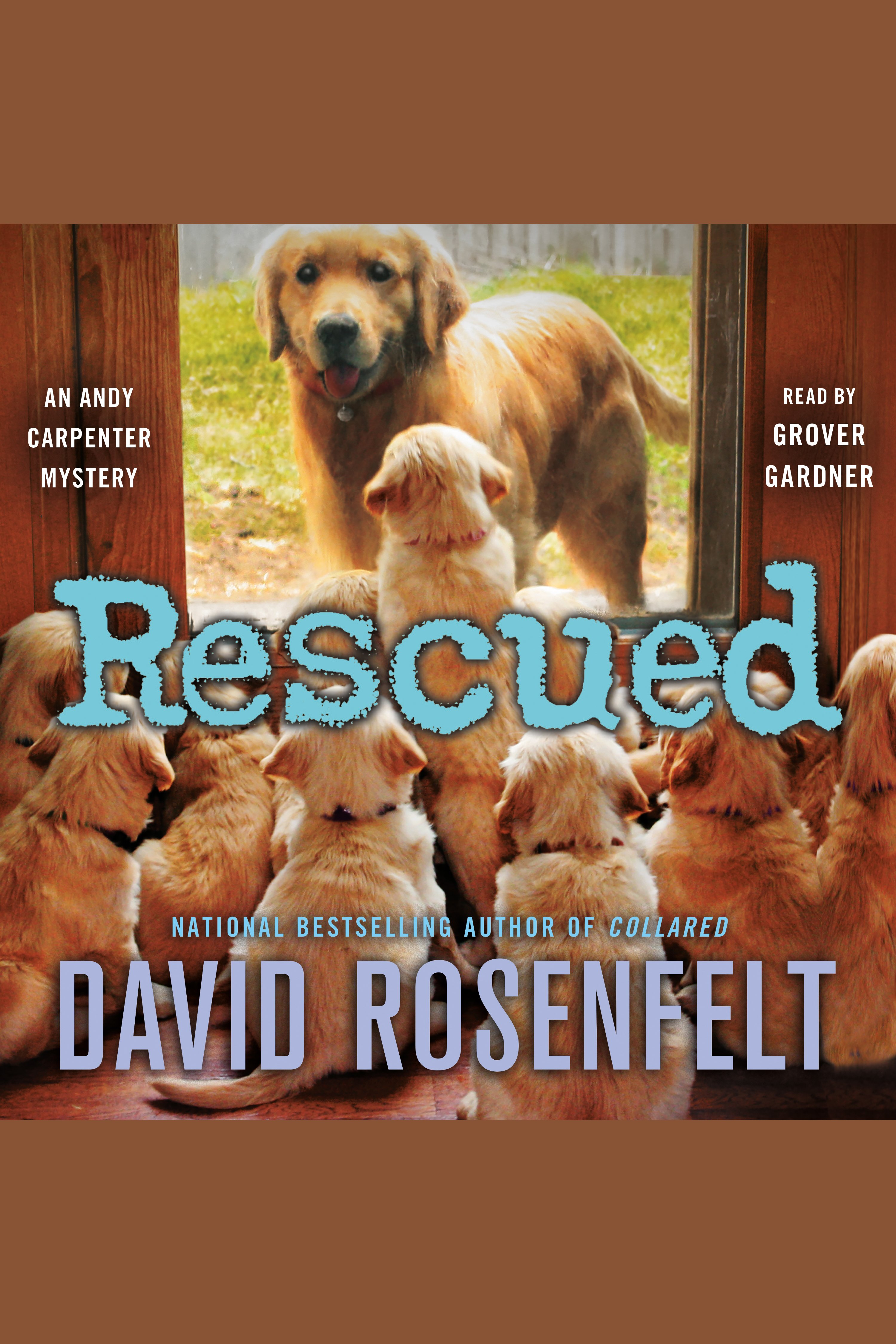 Imagen de portada para Rescued [electronic resource] : An Andy Carpenter Mystery