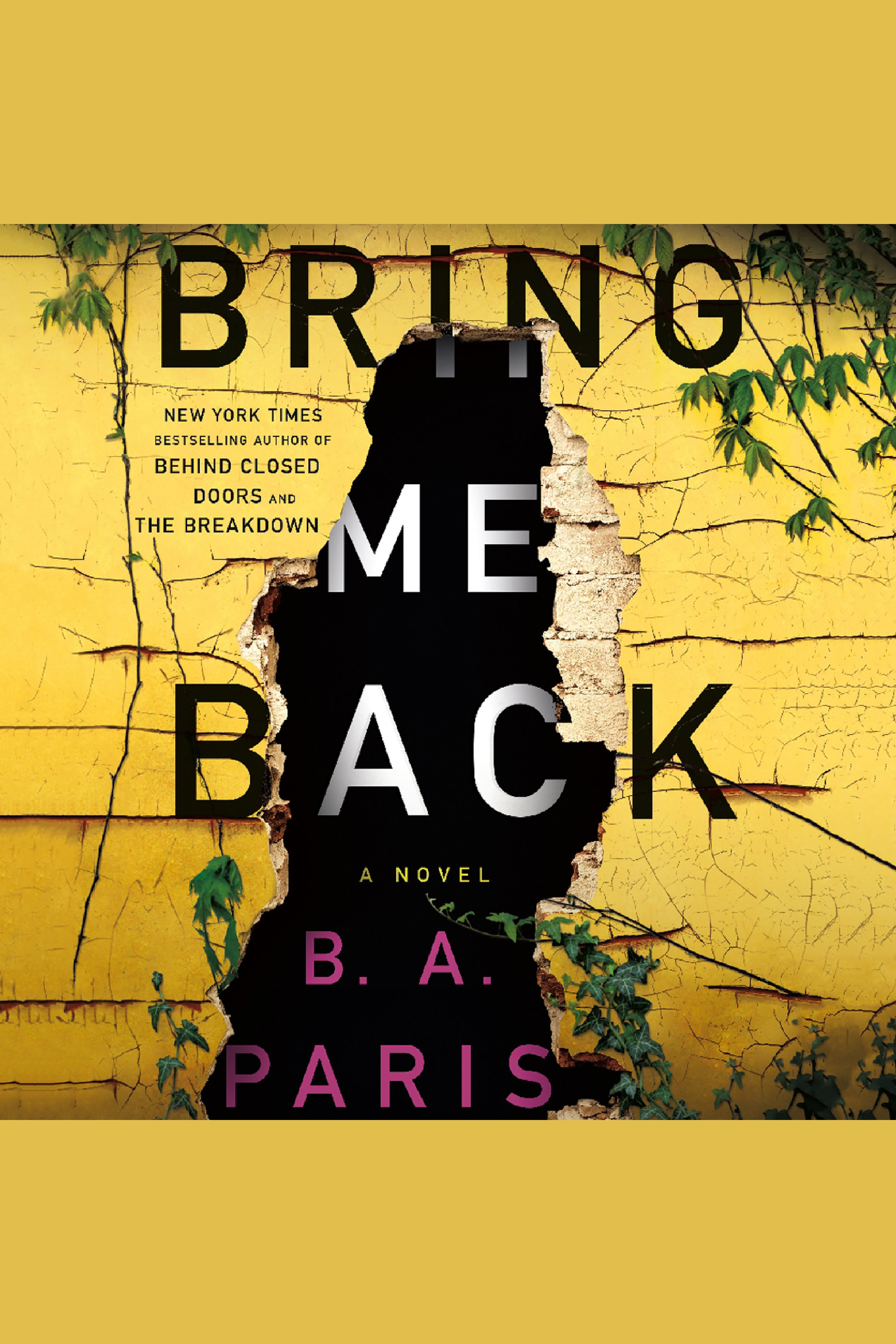 Cover image for Bring Me Back [electronic resource] : A Novel