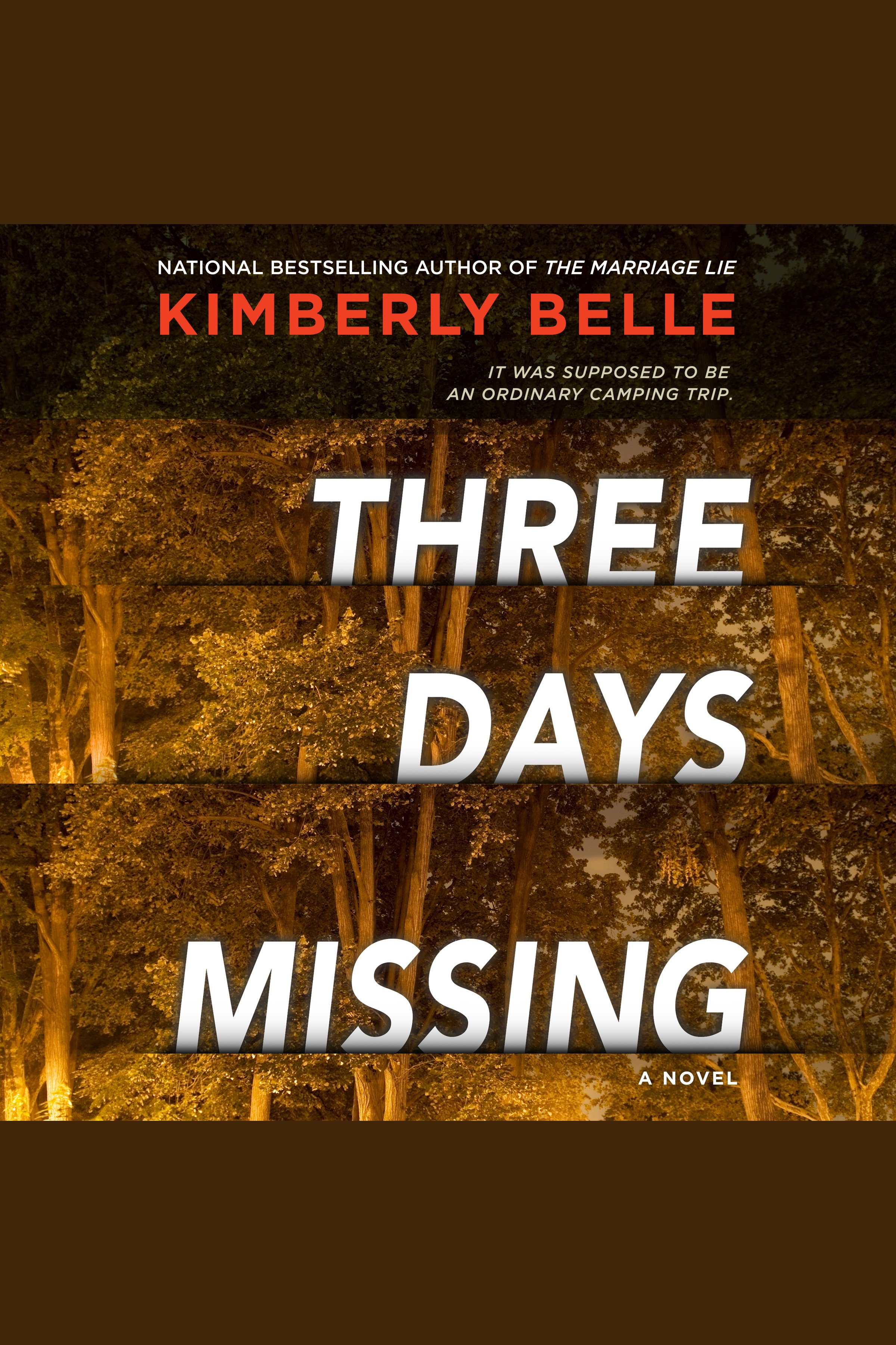 Cover image for Three Days Missing [electronic resource] : A Novel