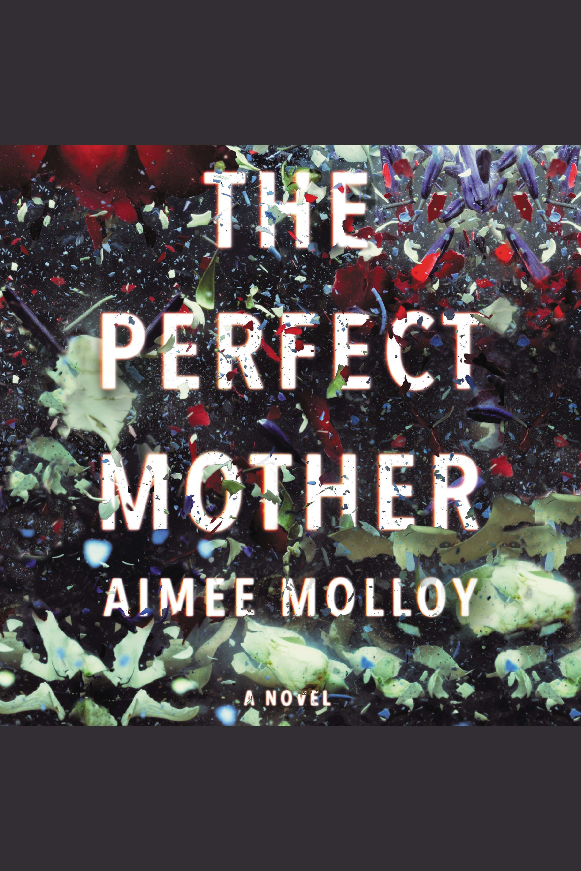 Imagen de portada para The Perfect Mother [electronic resource] : A Novel