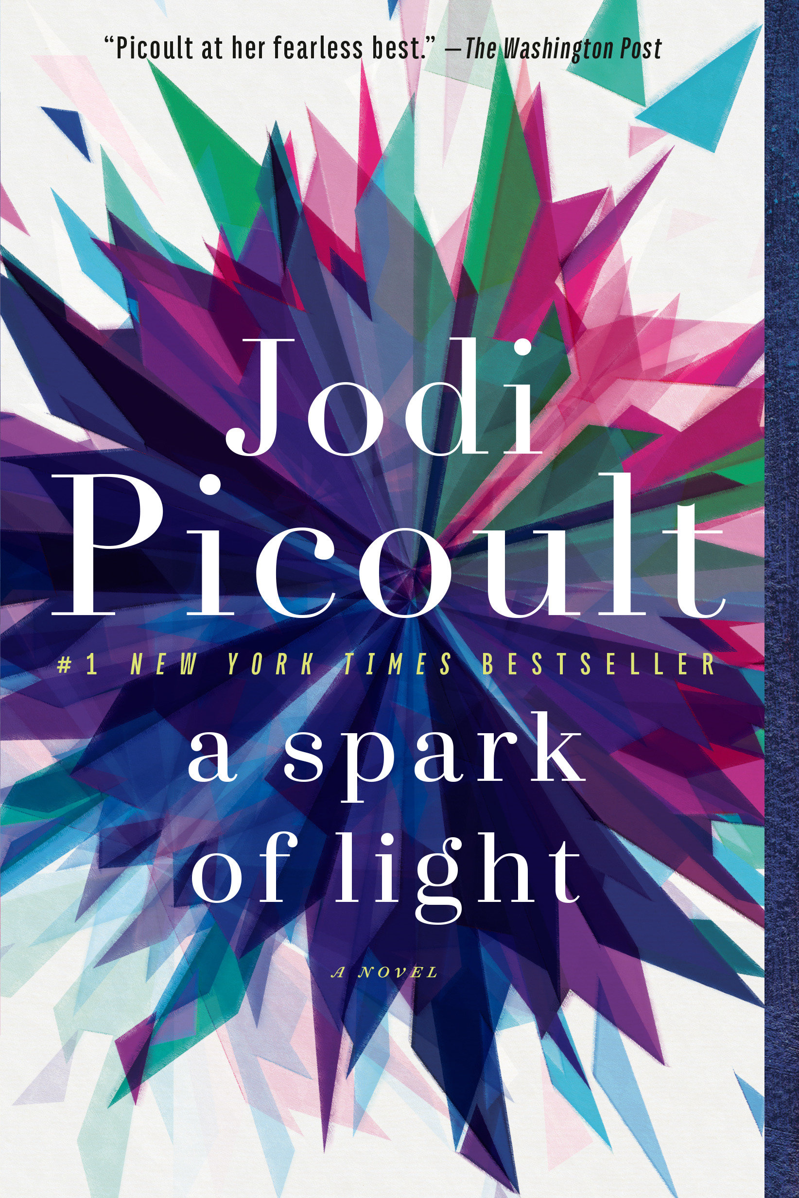 Cover image for A Spark of Light [electronic resource] : A Novel
