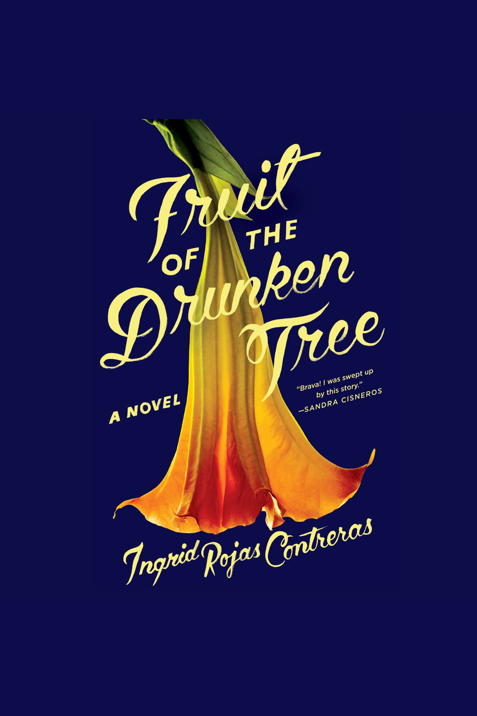 Cover image for Fruit of the Drunken Tree [electronic resource] : A Novel