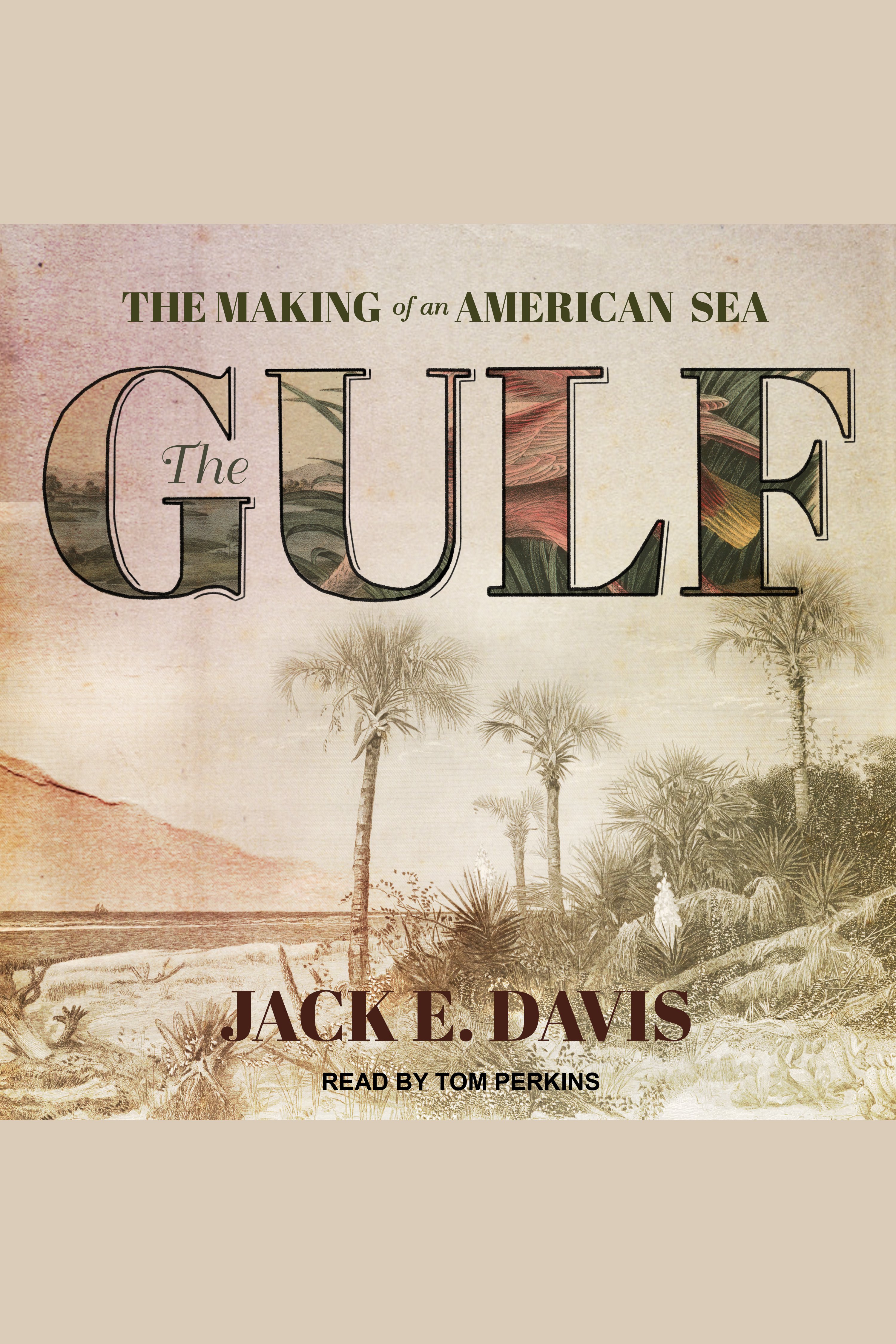 Cover image for The Gulf [electronic resource] :