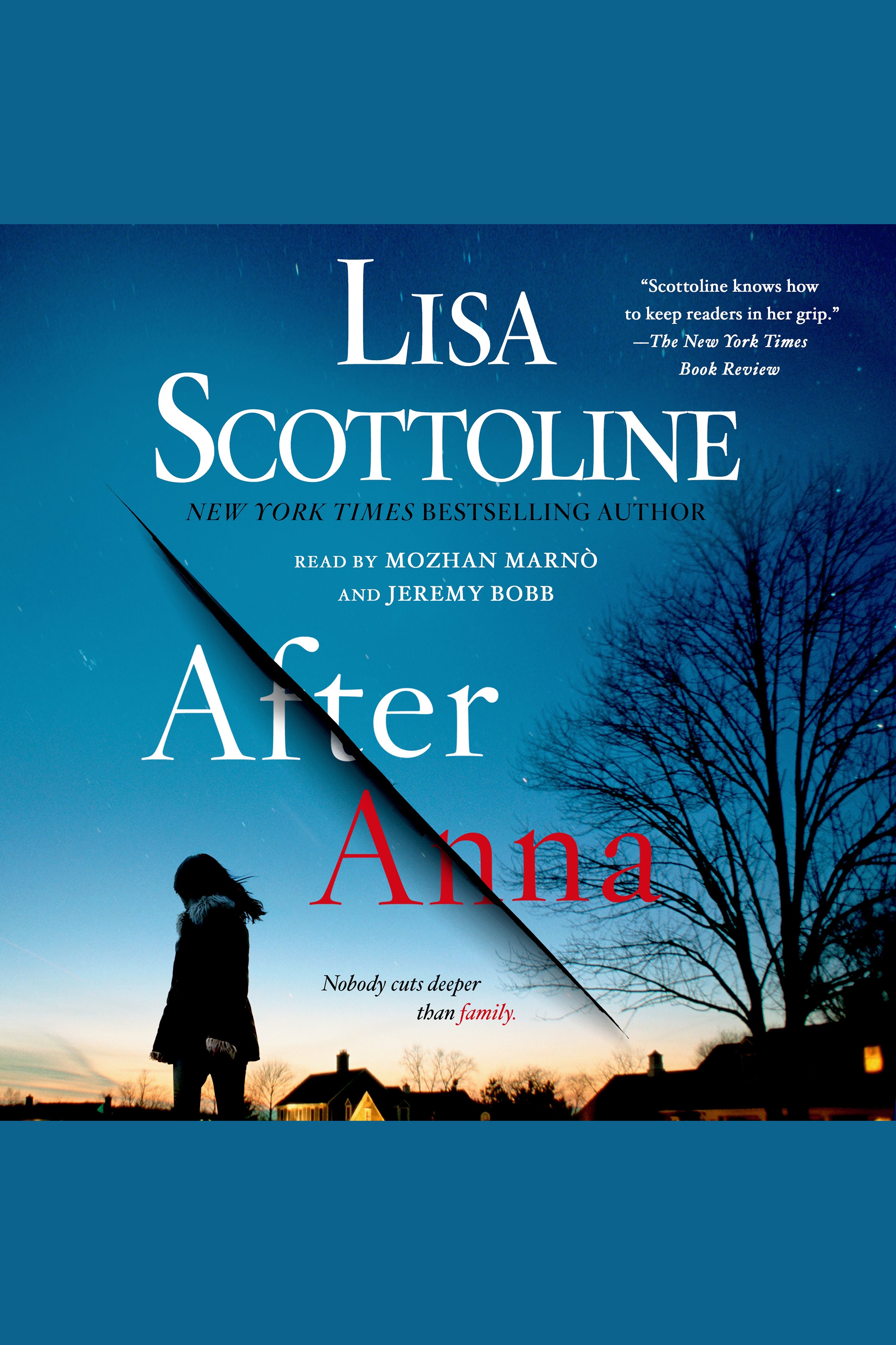 Cover image for After Anna [electronic resource] :