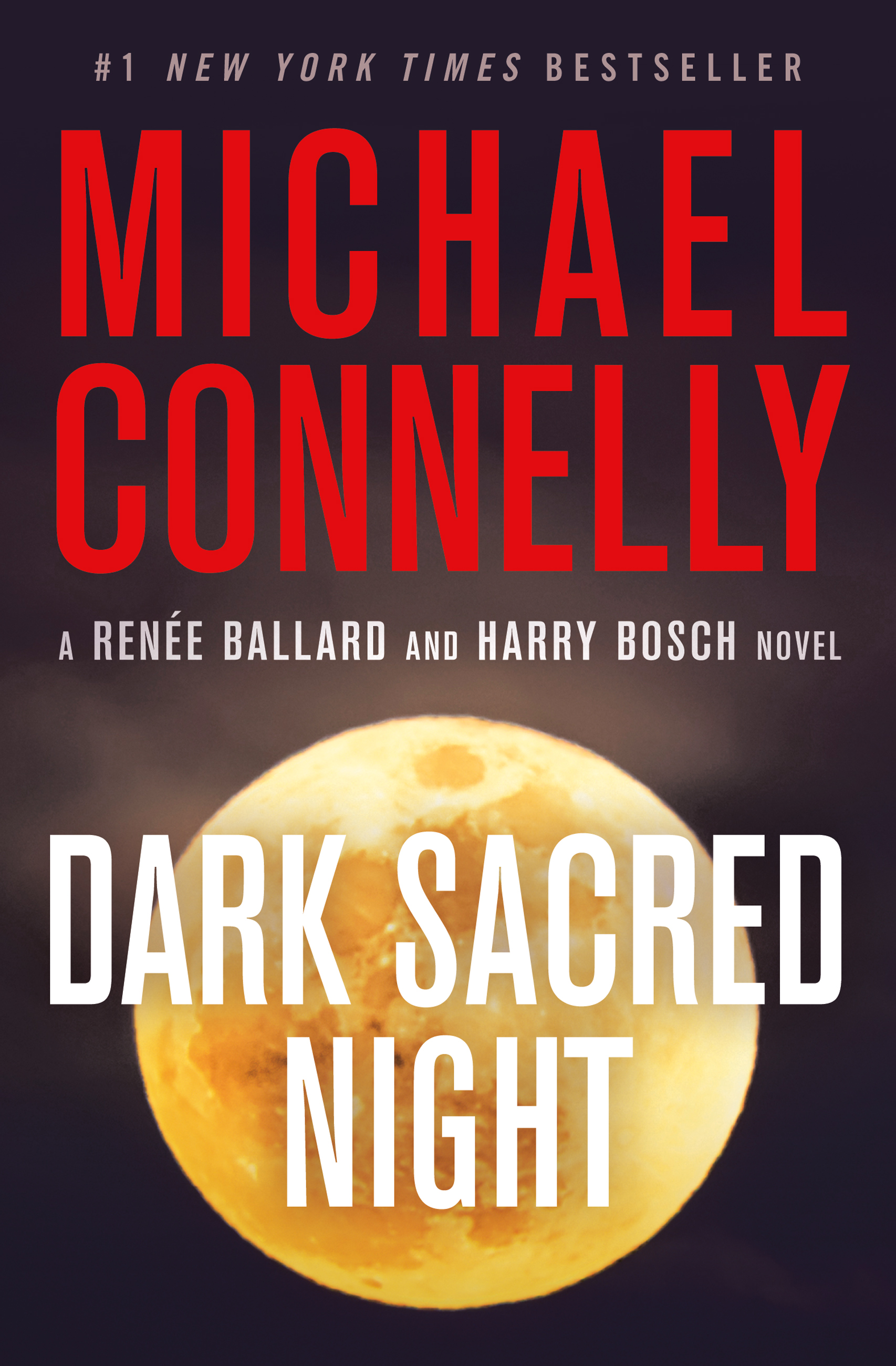 Umschlagbild für Dark Sacred Night [electronic resource] :