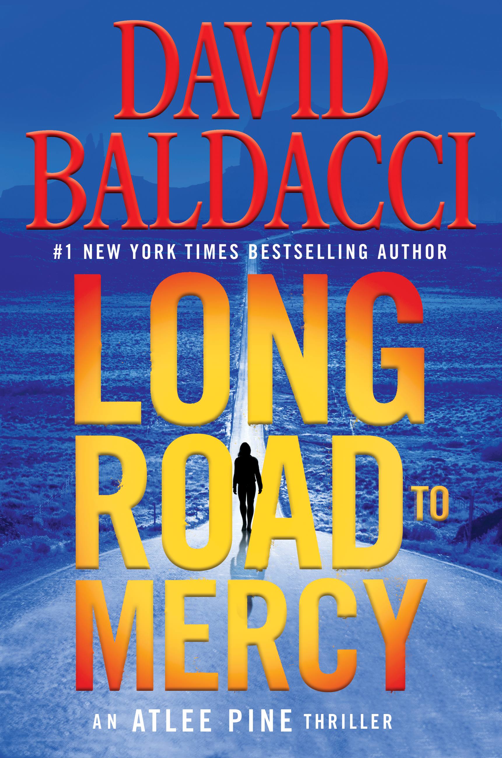 Image de couverture de Long Road to Mercy [electronic resource] :