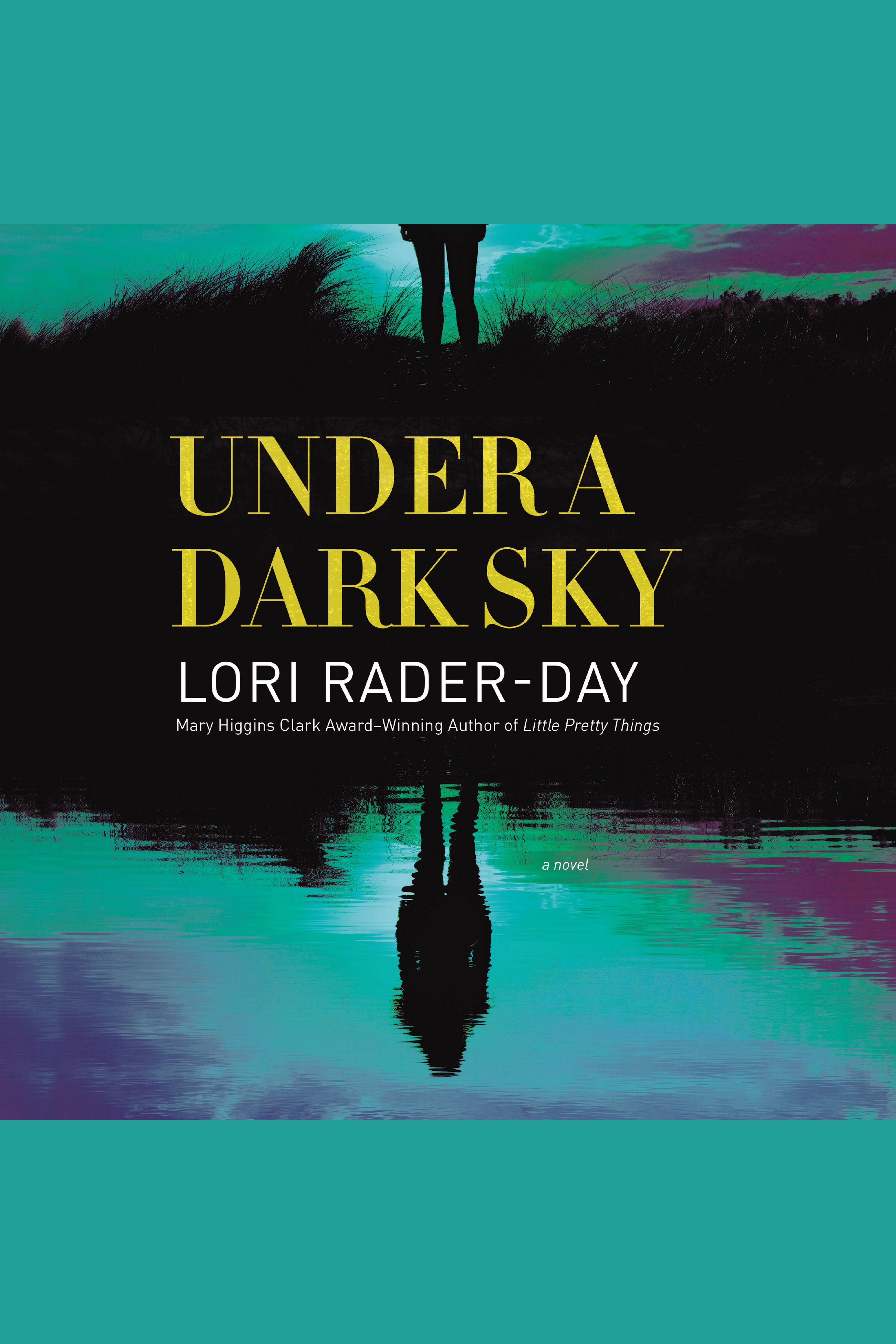 Cover image for Under a Dark Sky [electronic resource] : A Novel