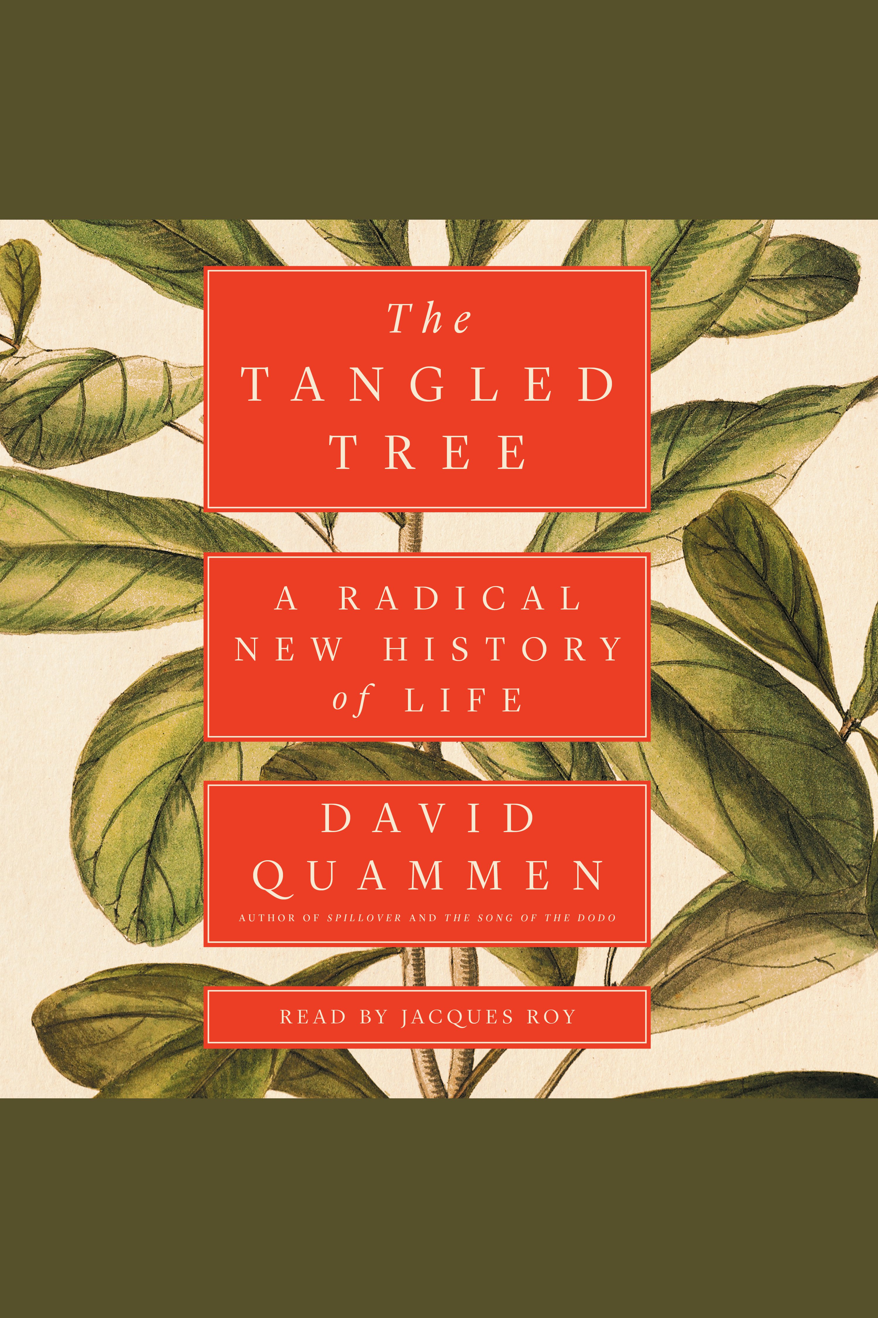 Cover Image of The Tangled Tree