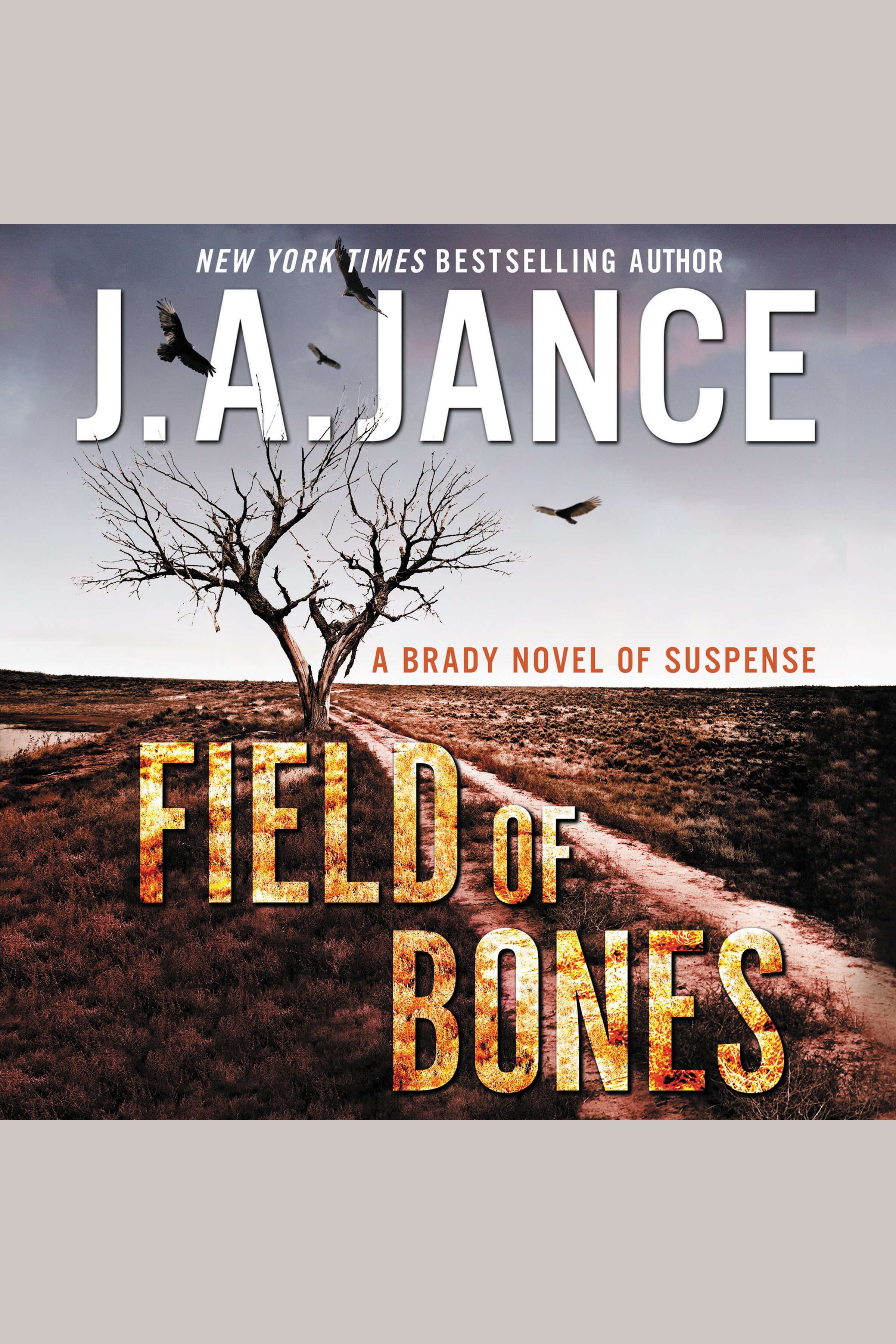 Cover image for Field of Bones [electronic resource] : A Brady Novel of Suspense