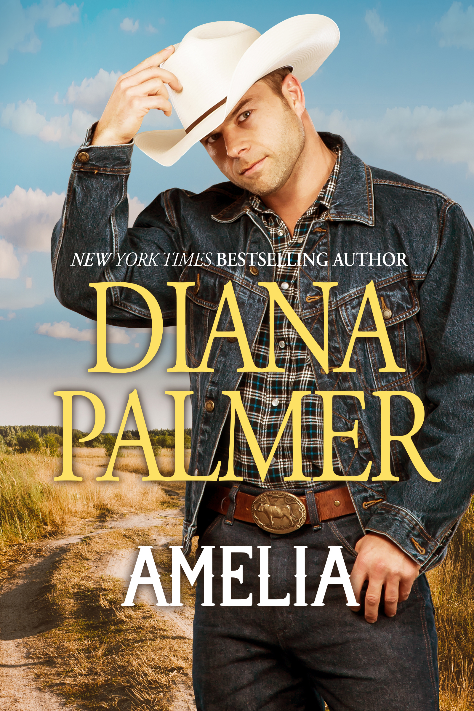 Cover image for Amelia [electronic resource] :