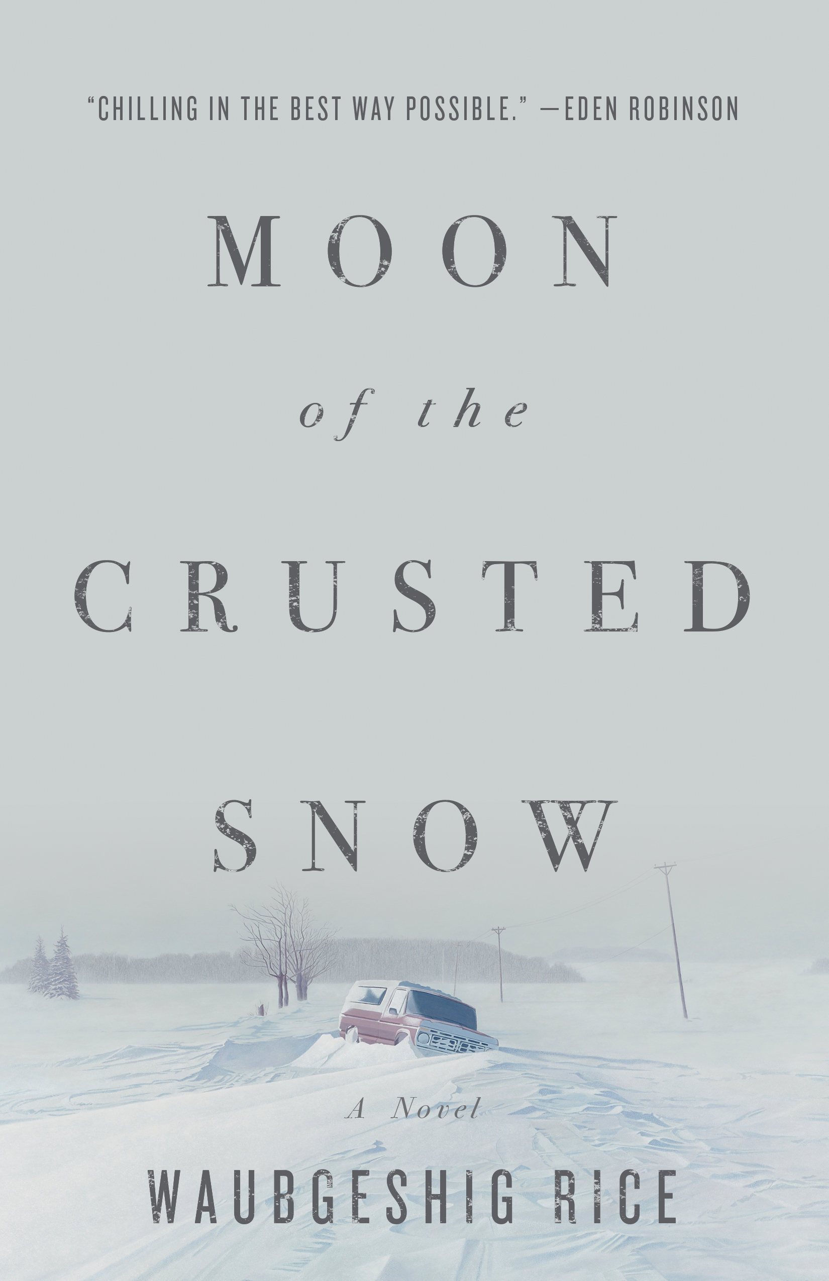 Cover image for Moon of the Crusted Snow [electronic resource] : A Novel