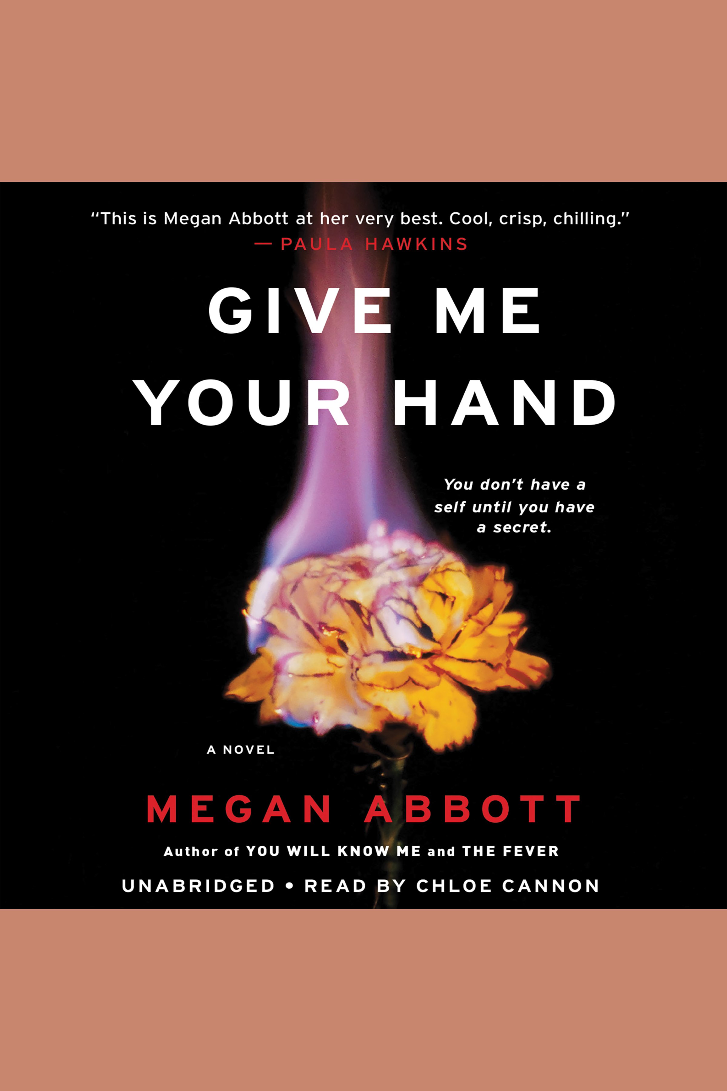 Imagen de portada para Give Me Your Hand [electronic resource] : A Novel