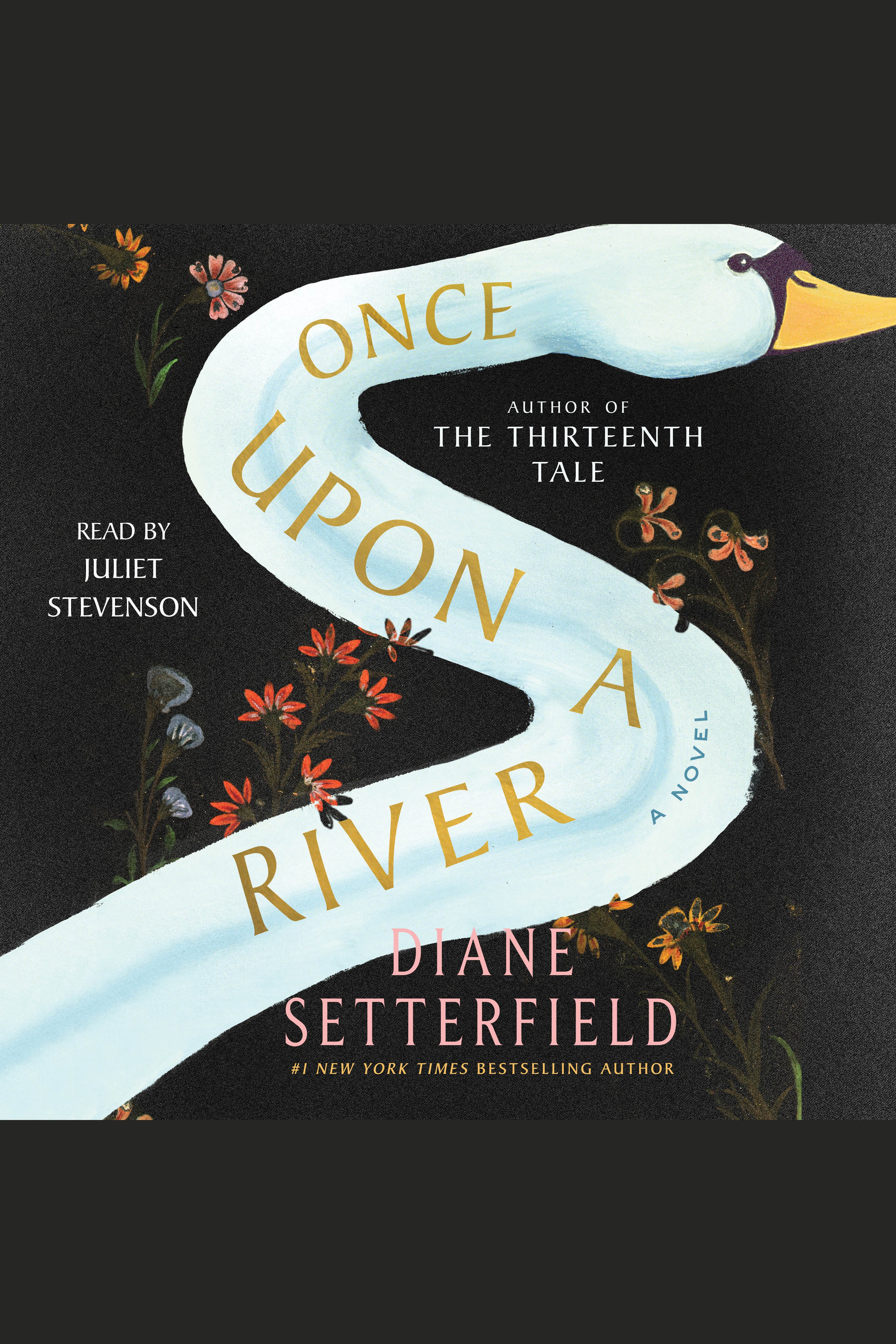 Cover image for Once Upon a River [electronic resource] : A Novel