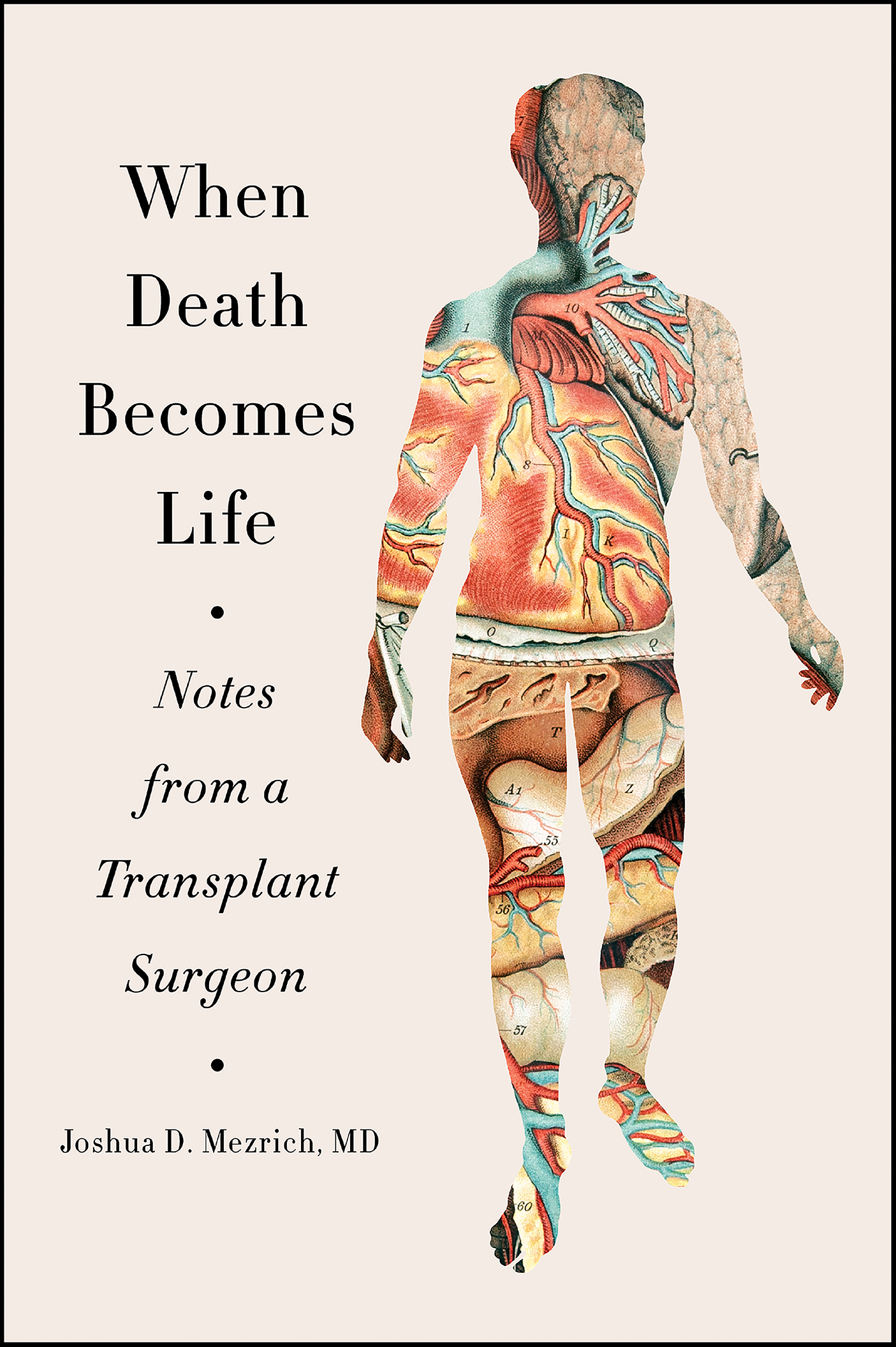 When death becomes life notes from a transplant surgeon cover image