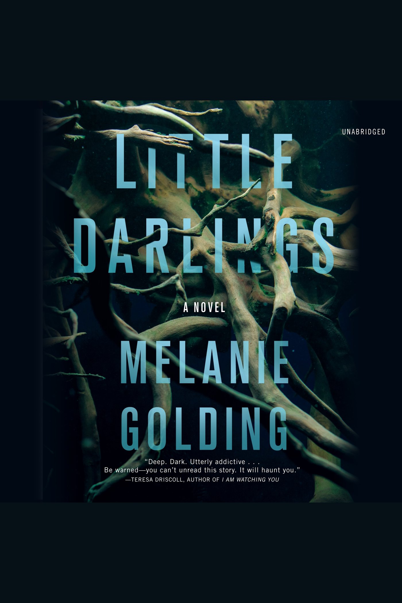 Cover image for Little Darlings [electronic resource] : A Novel