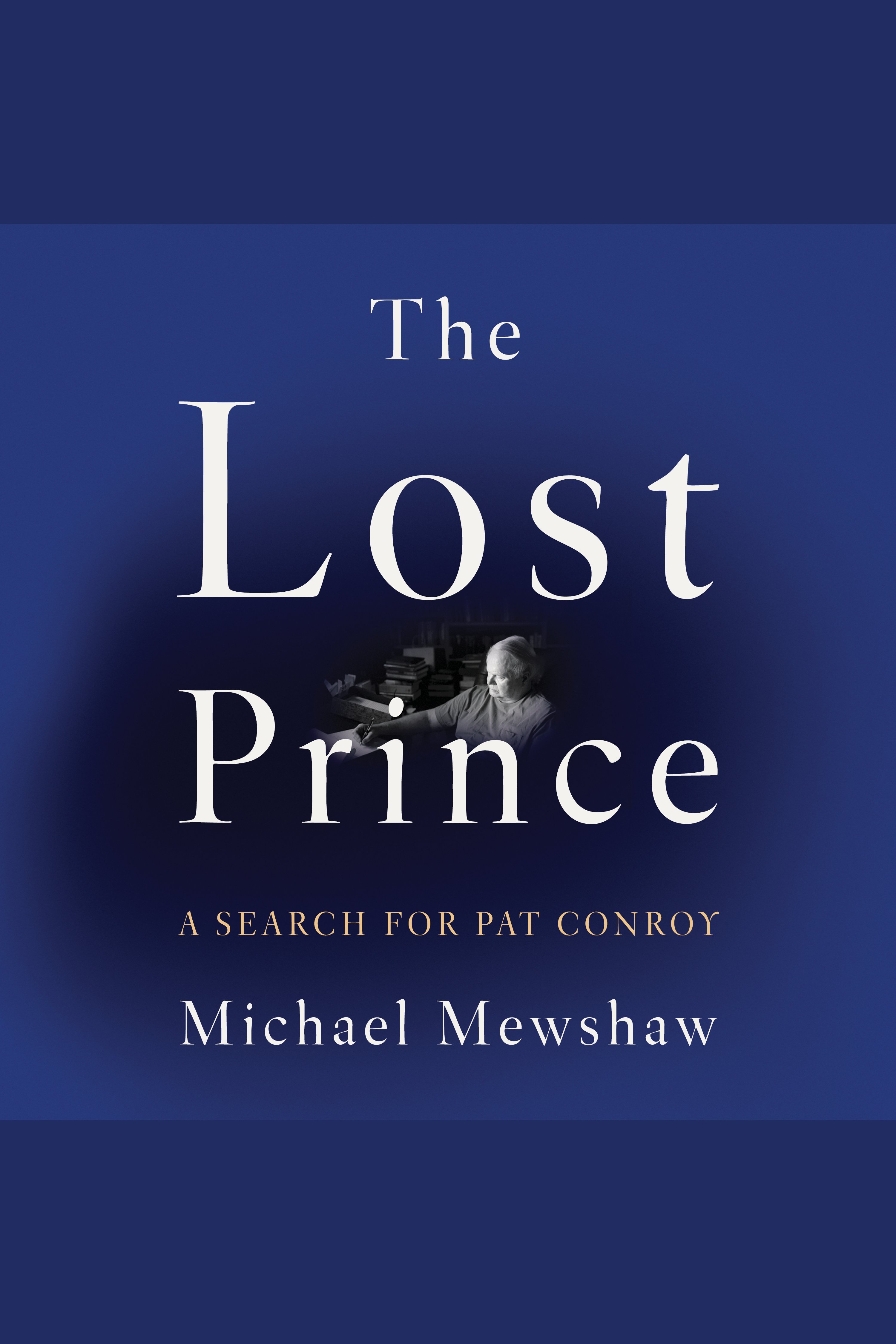 Cover image for The Lost Prince [electronic resource] :