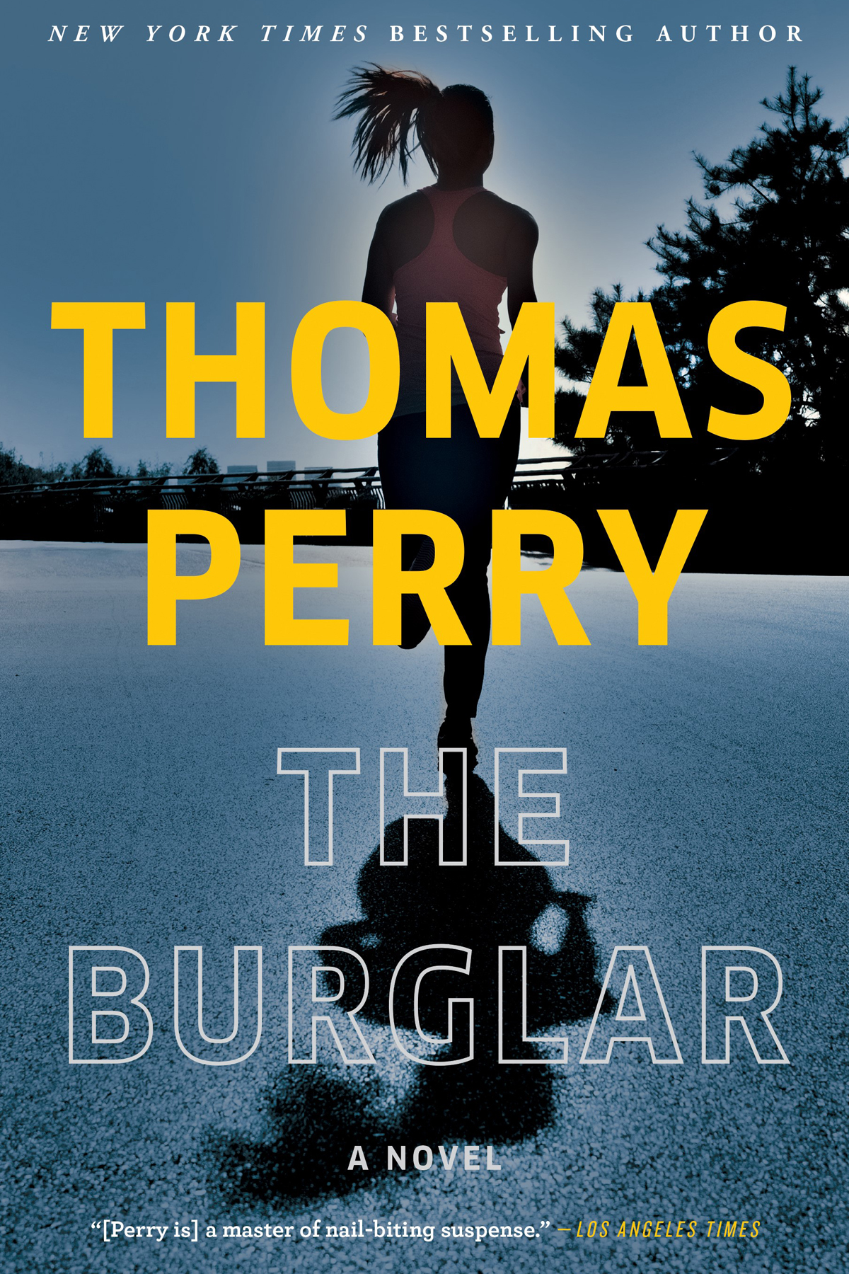 Imagen de portada para The Burglar [electronic resource] : A Novel