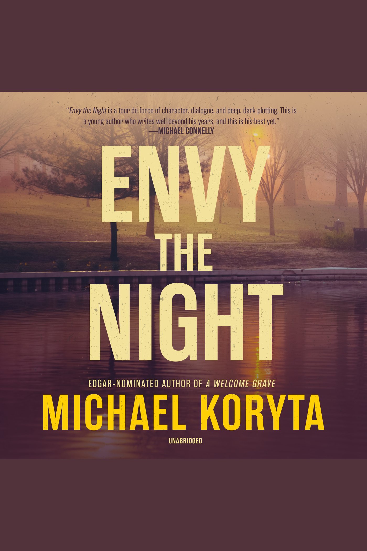 Image de couverture de Envy the Night [electronic resource] :