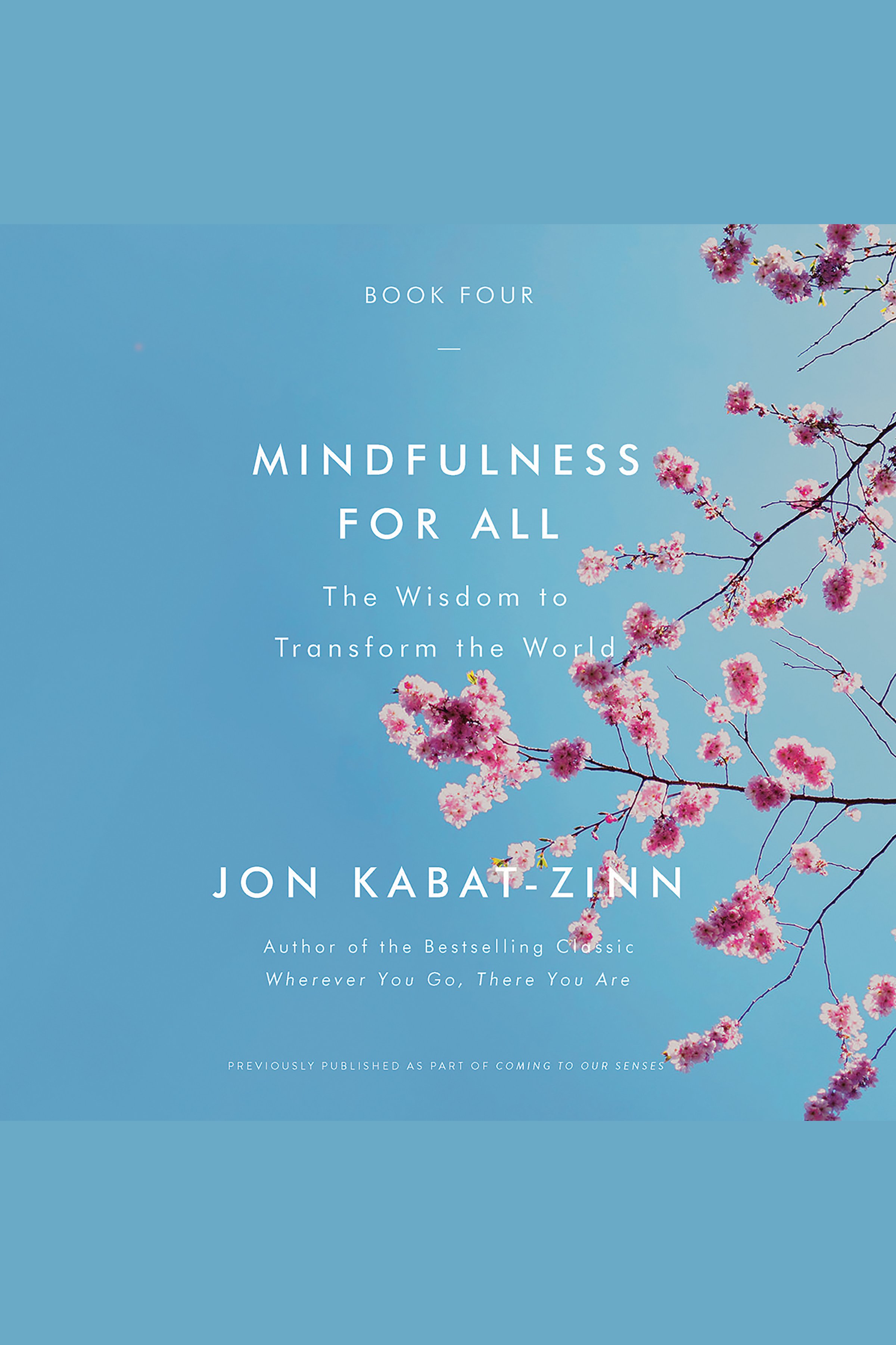 Mindfullness for All The Wisdom to Transform the World cover image