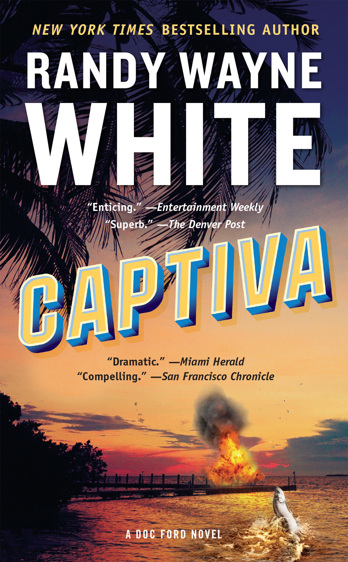 Cover image for Captiva [electronic resource] :