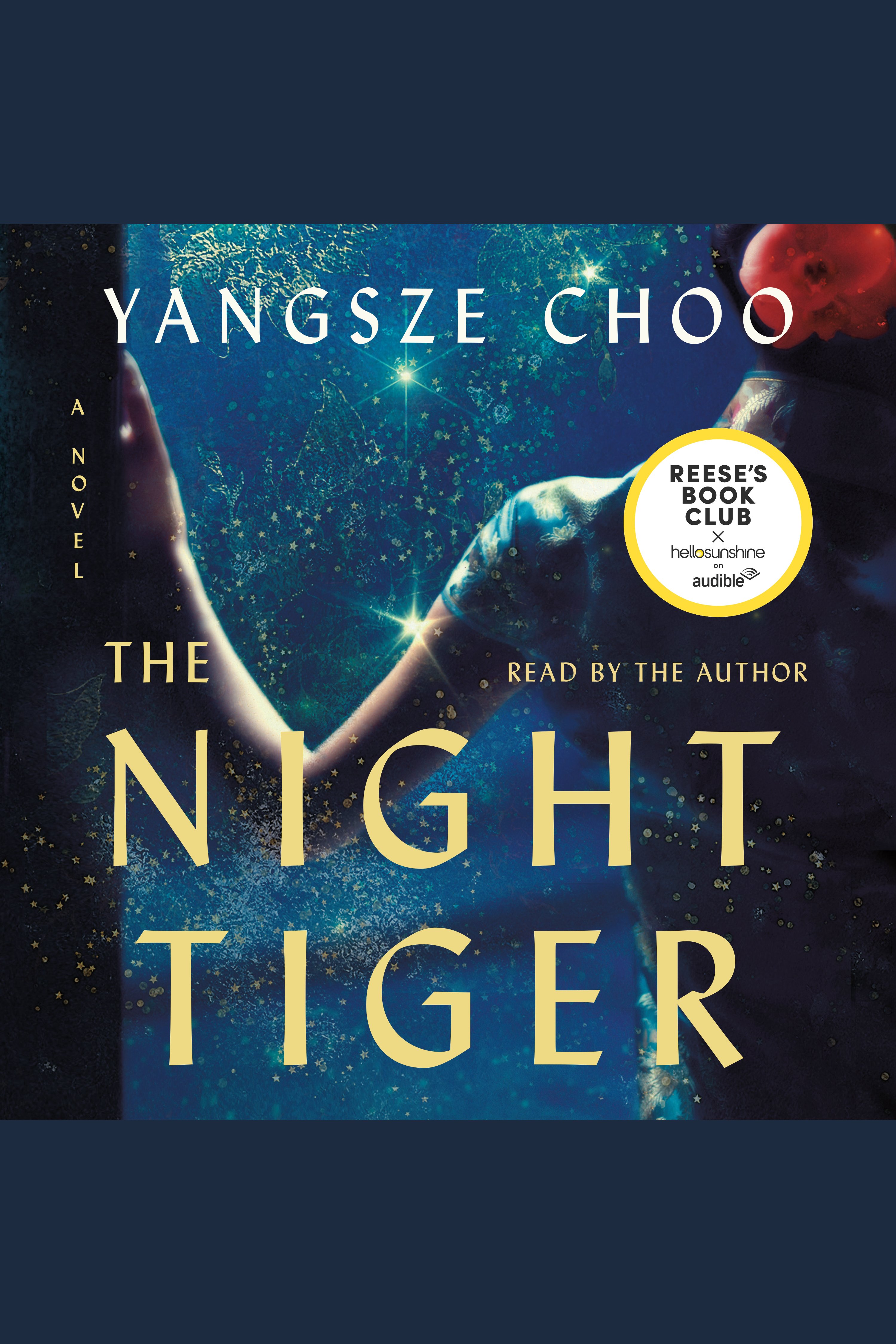 Cover image for The Night Tiger [electronic resource] : A Novel