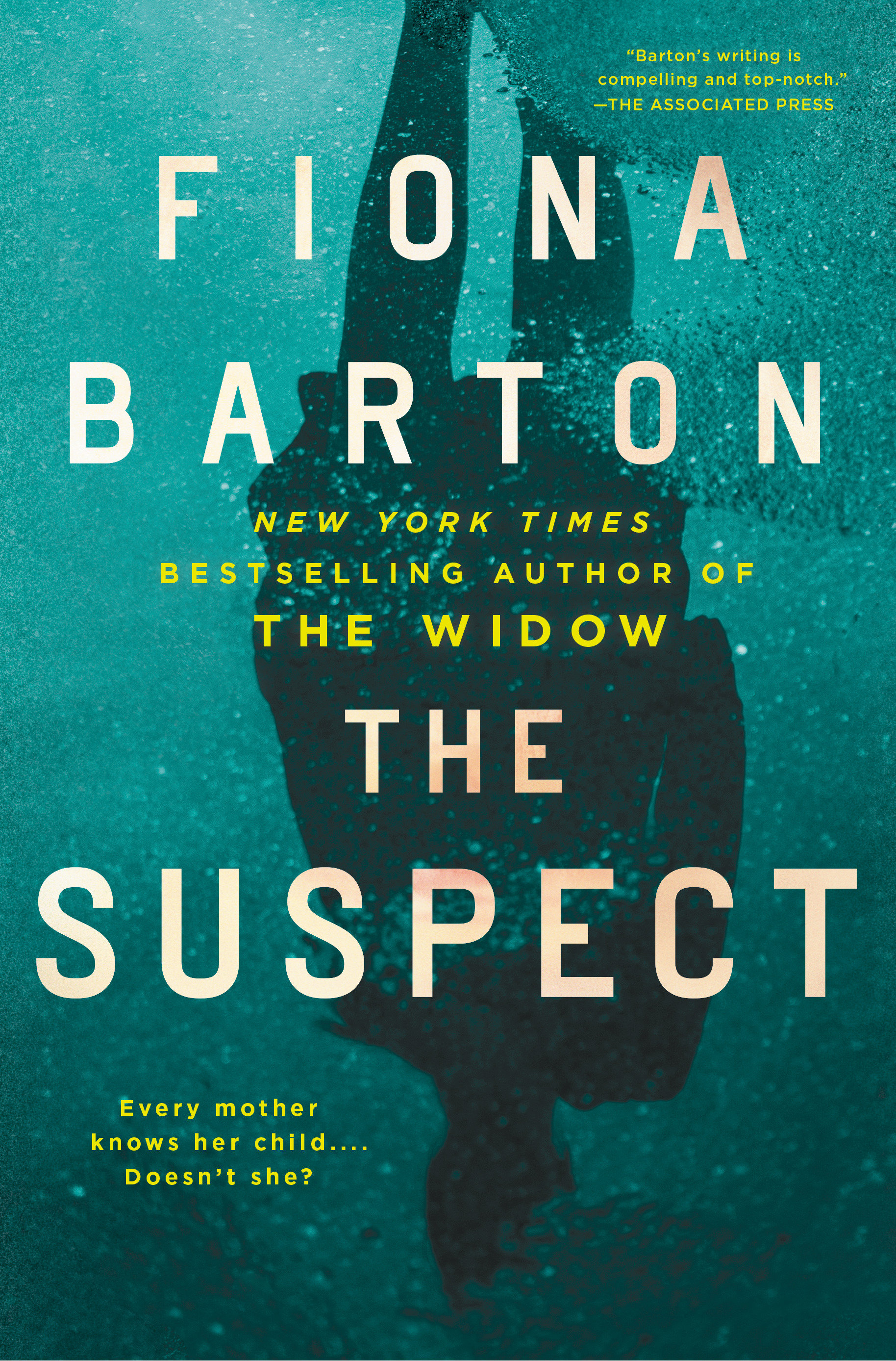 Cover image for The Suspect [electronic resource] :