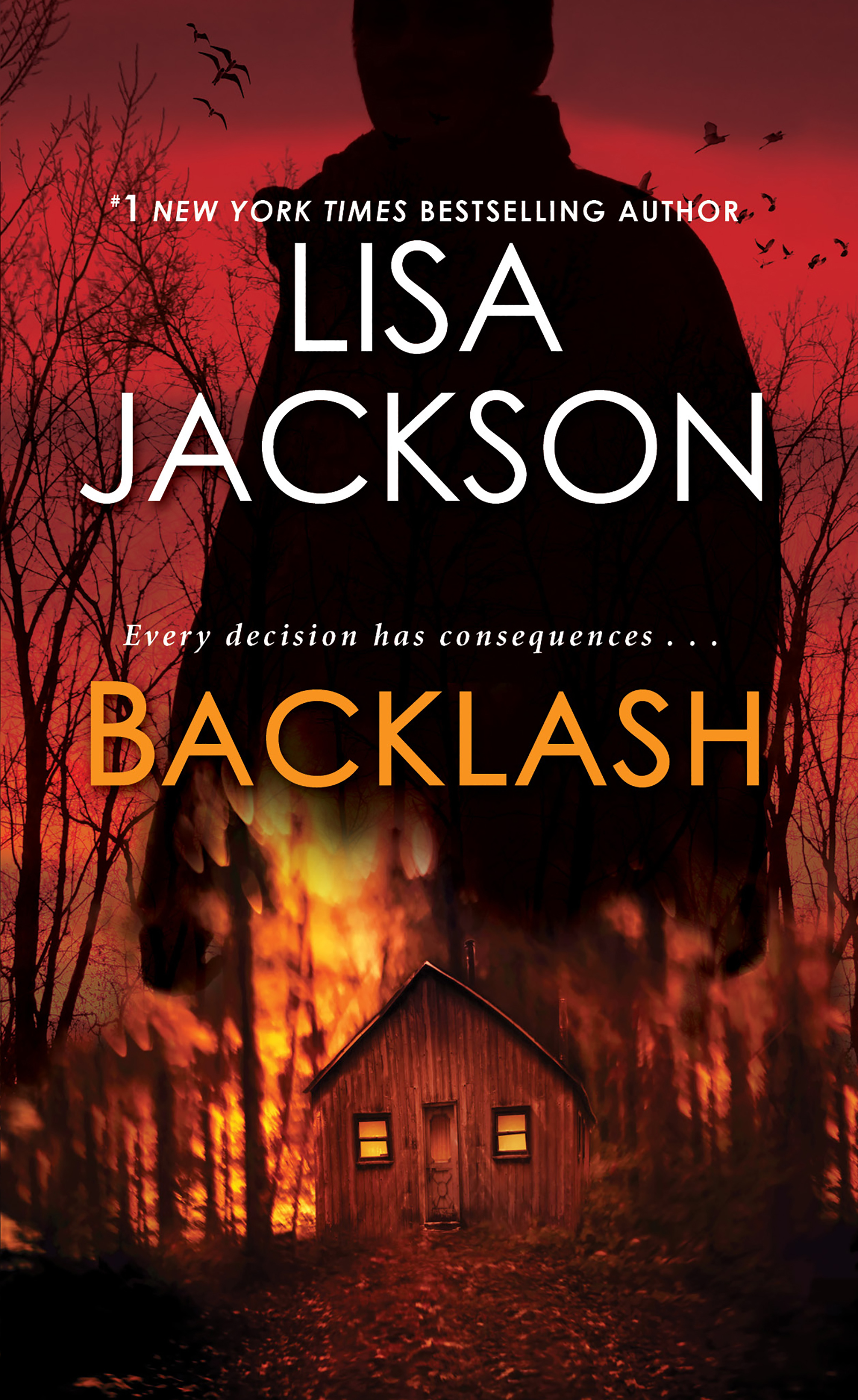 Cover image for Backlash [electronic resource] :
