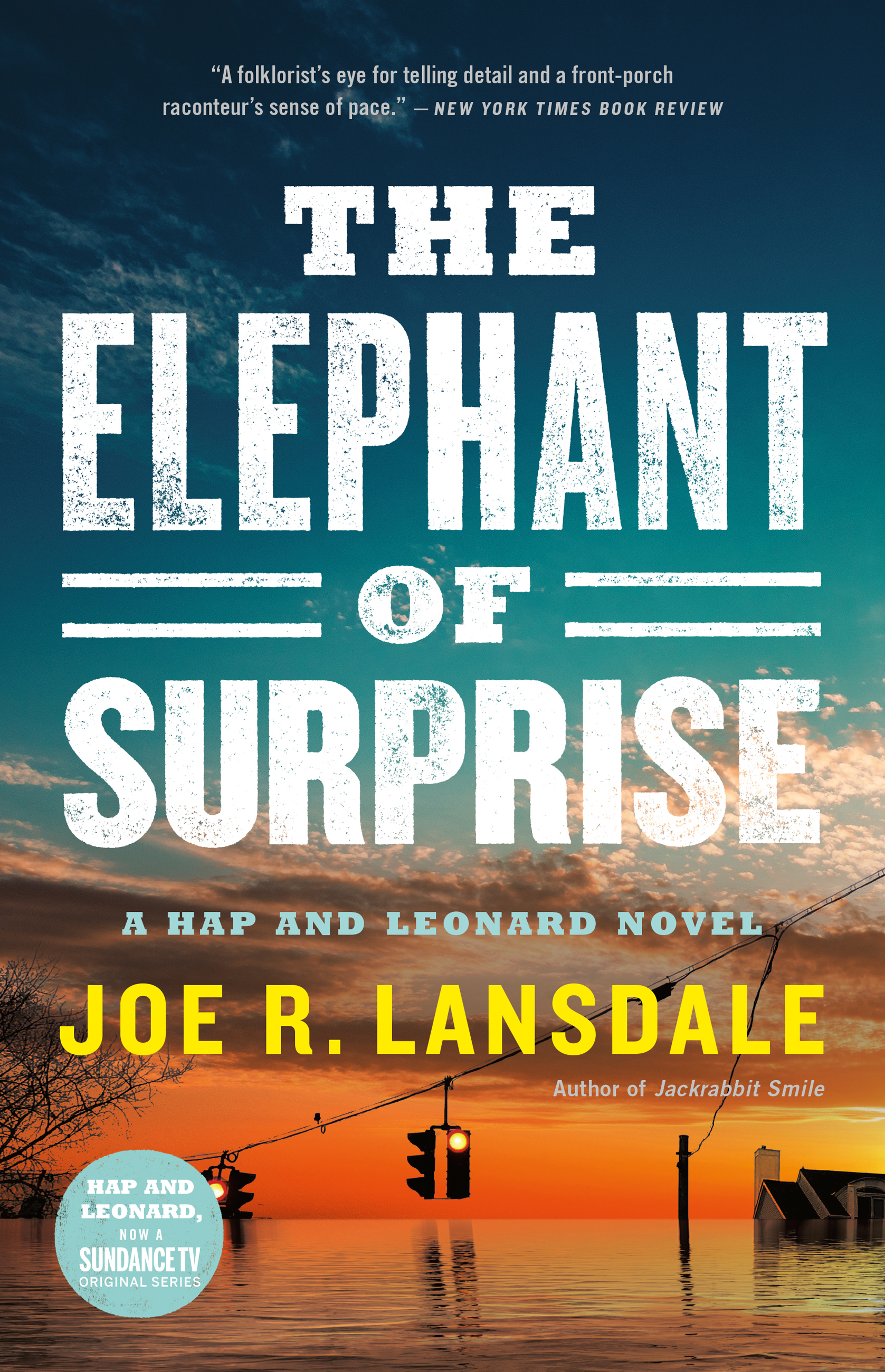 Umschlagbild für The Elephant of Surprise [electronic resource] :