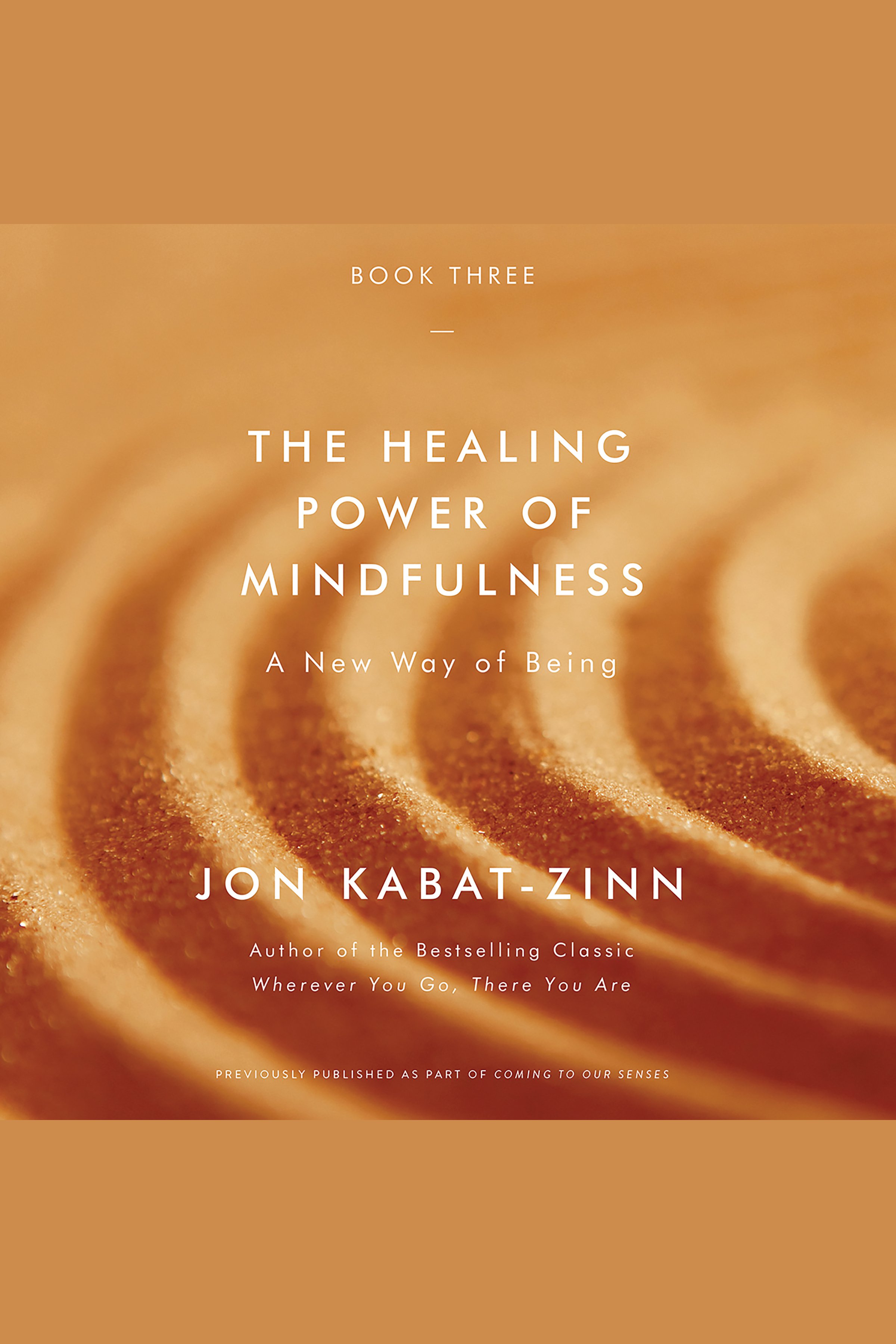 The Healing Power of Mindfulness A New Way of Being cover image