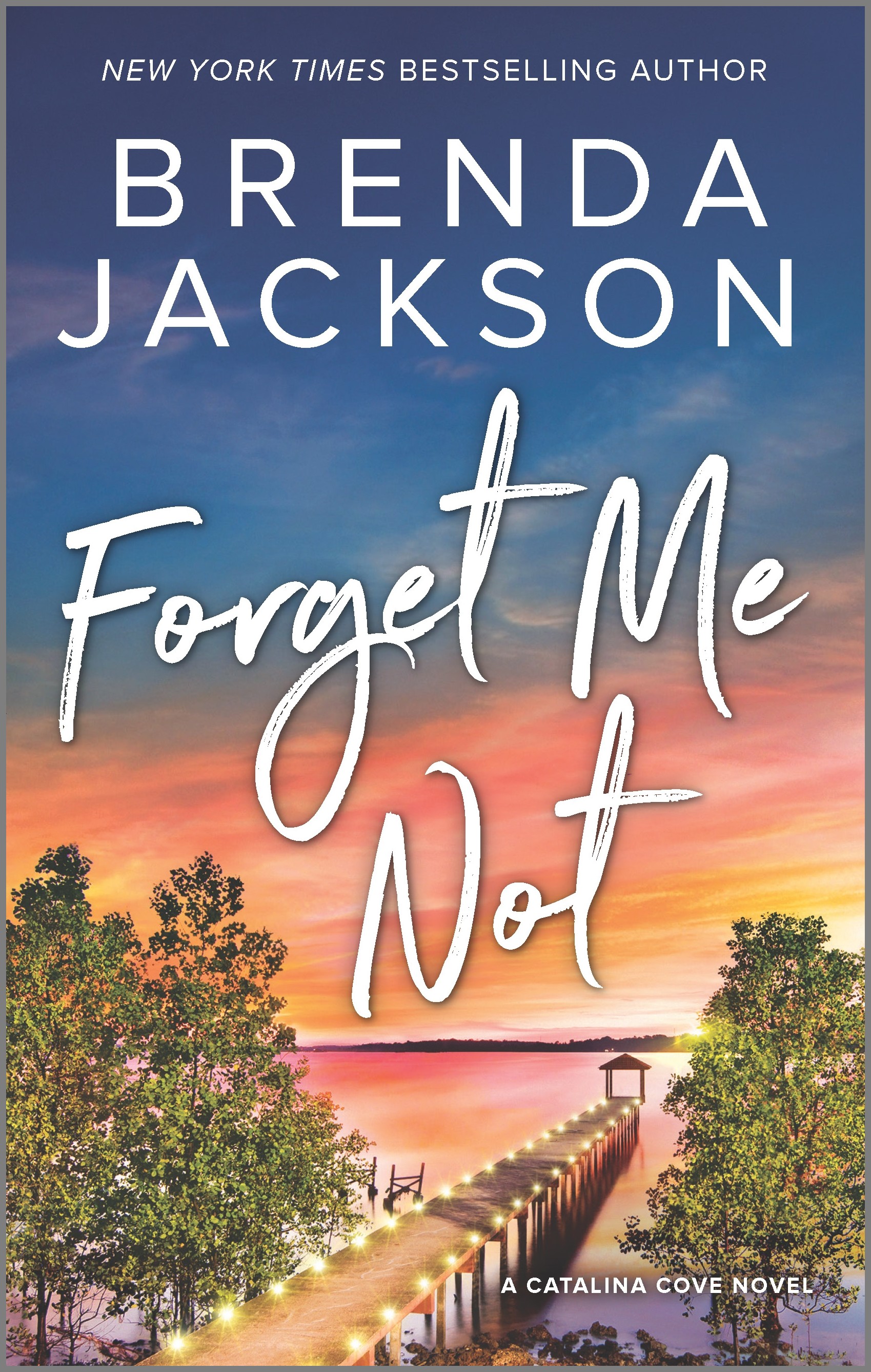 Cover image for Forget Me Not [electronic resource] :