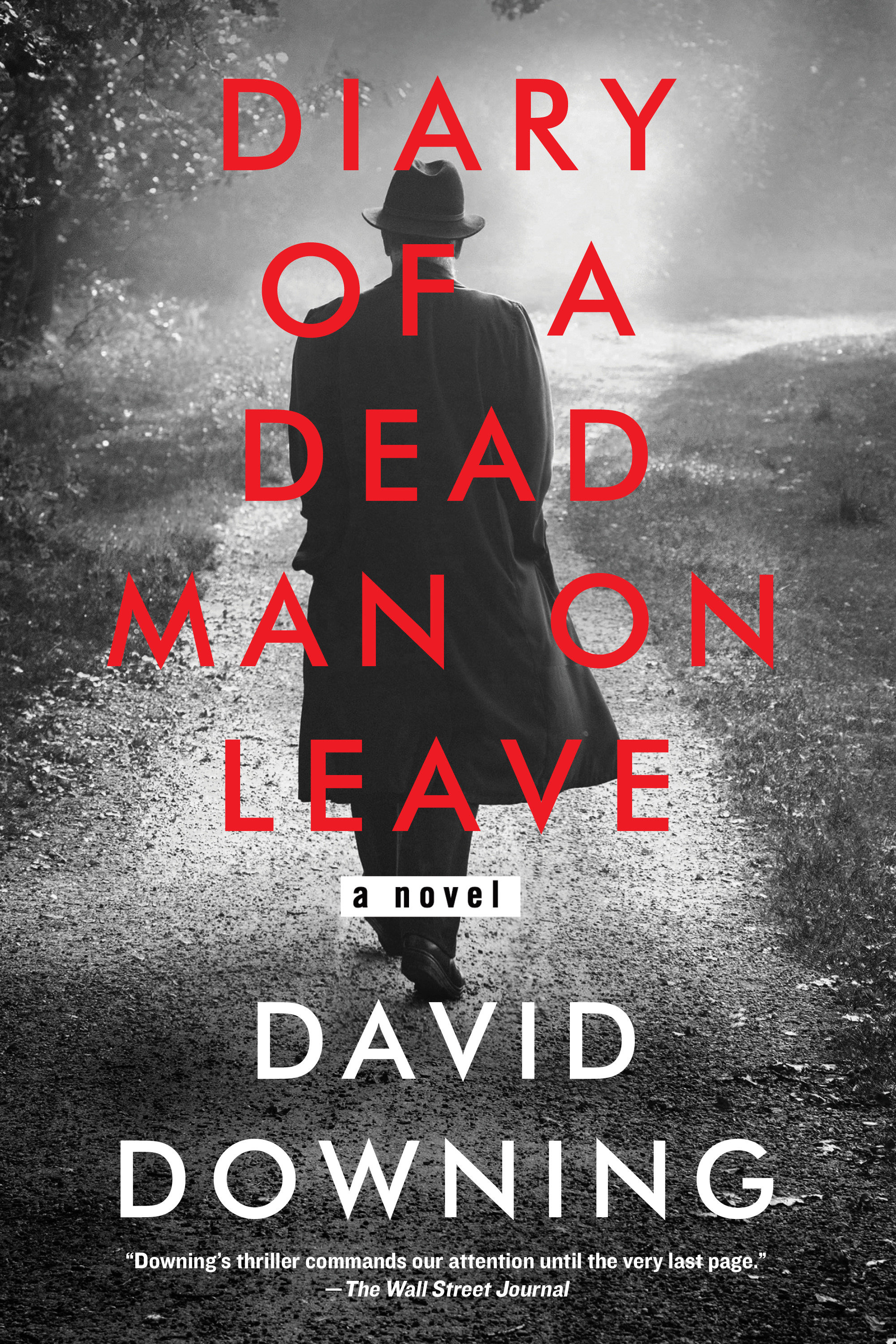 Diary of a Dead Man on Leave cover image